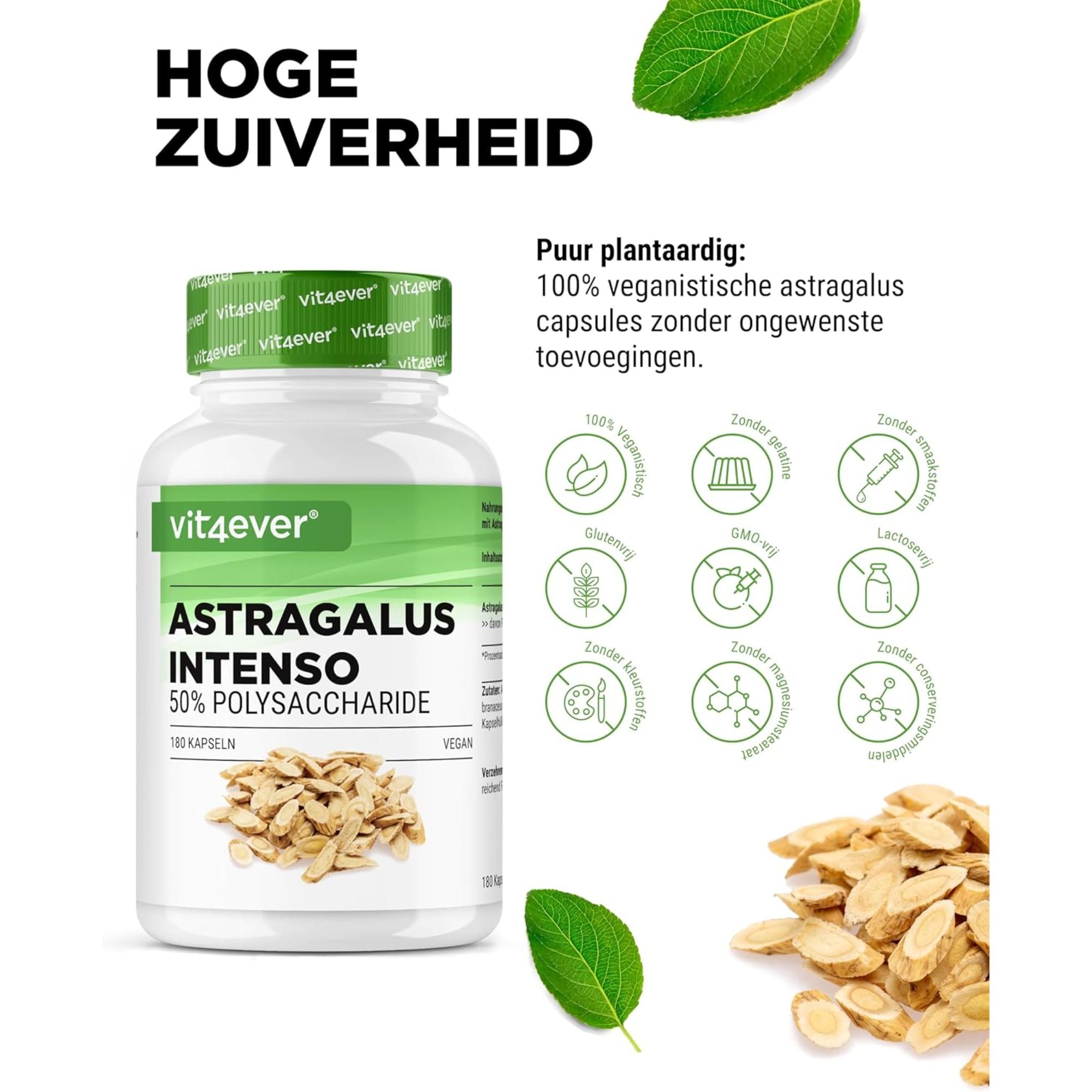 Vit4ever Astragalus Extract 50% Polysacchariden - hooggedoseerd en 100% vegan kruidensupplement