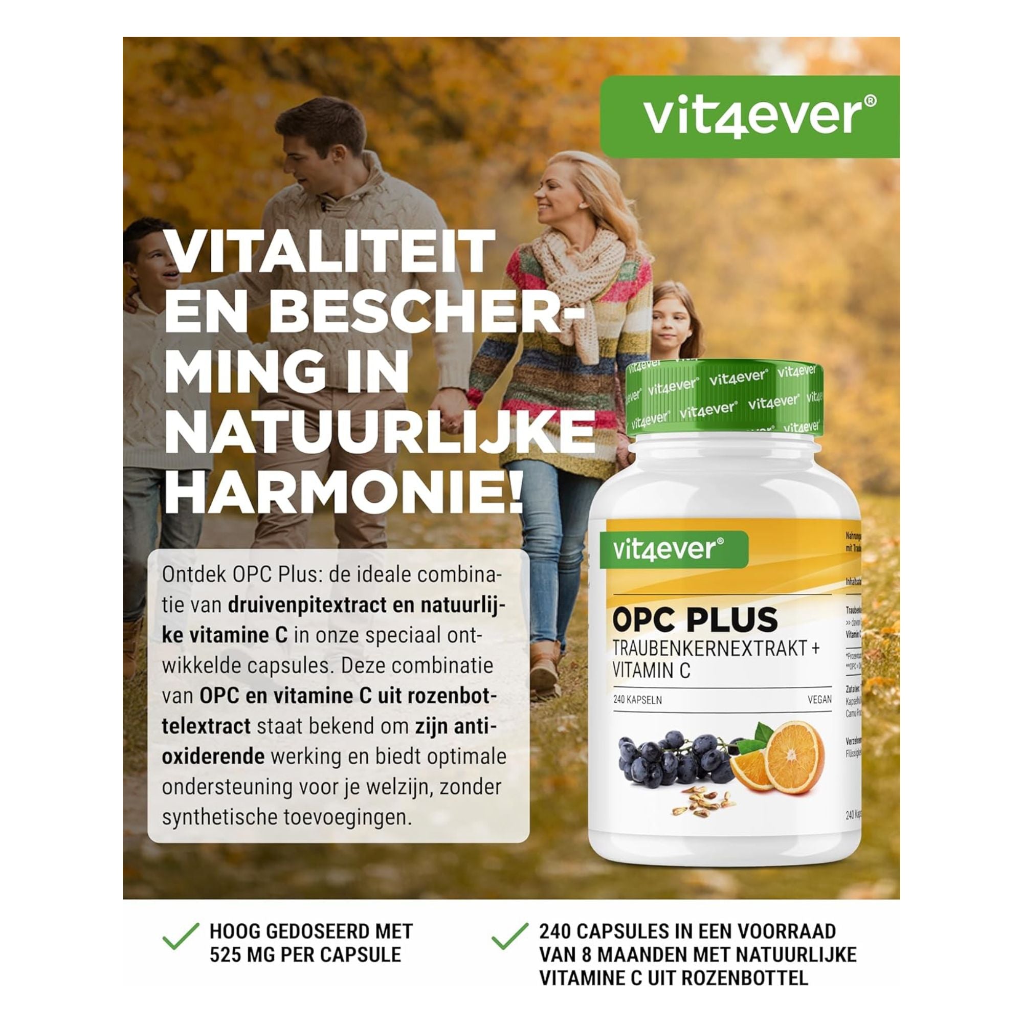 vit4ever Traubenkernextrakt + Vitamin C