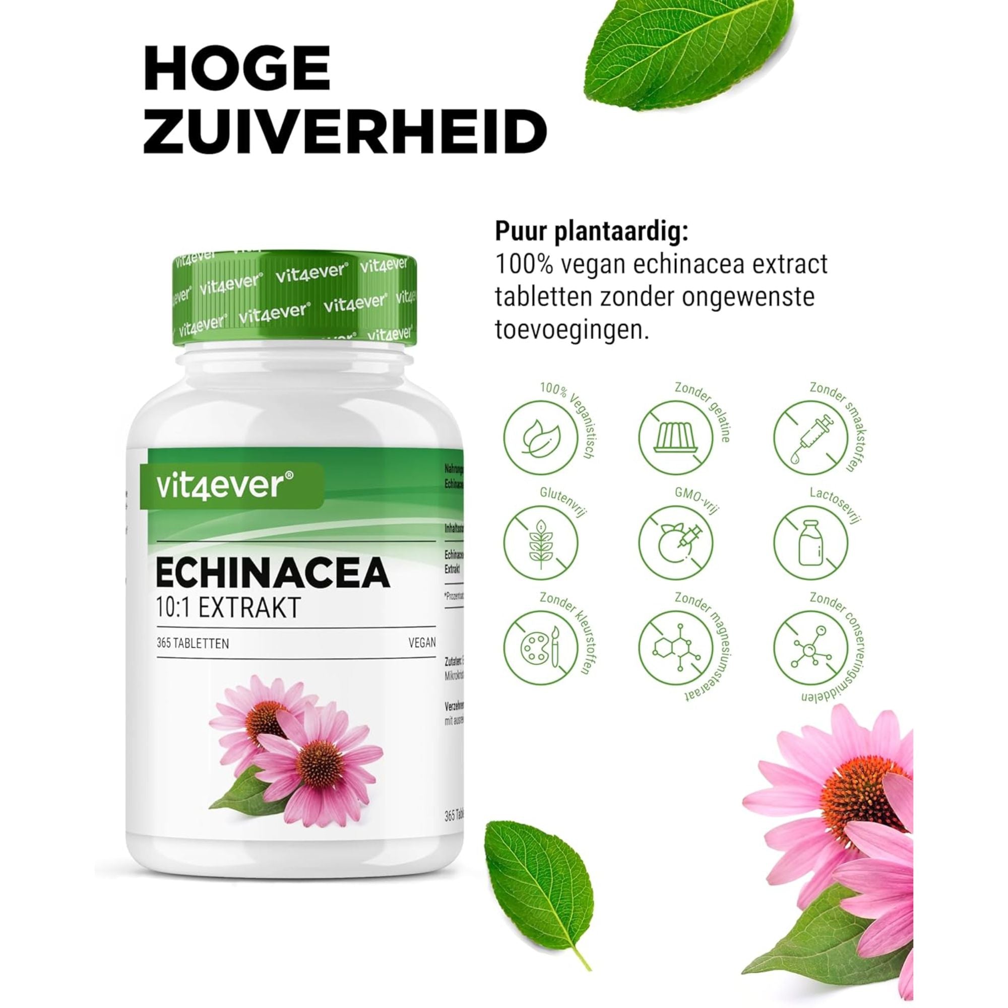 Vit4ever Echinacea Purpurea 500mg - hooggedoseerd en vegan