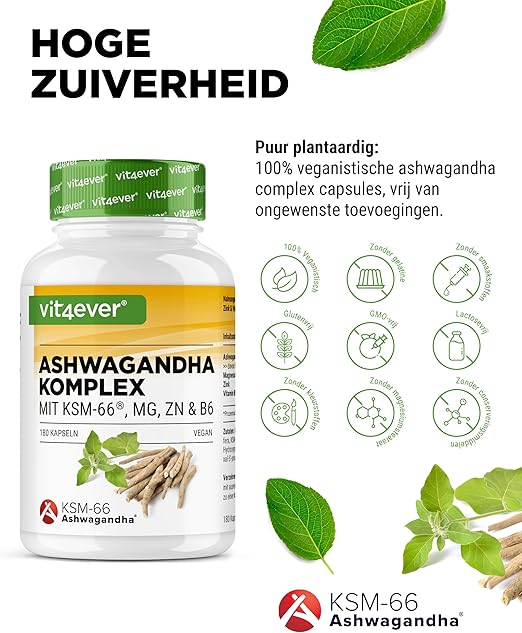 Ashwagandha KSM-66 Komplex (mit Magnesium, Zink &amp; Vitamin B6) | 180 Kapseln | Vit4ever