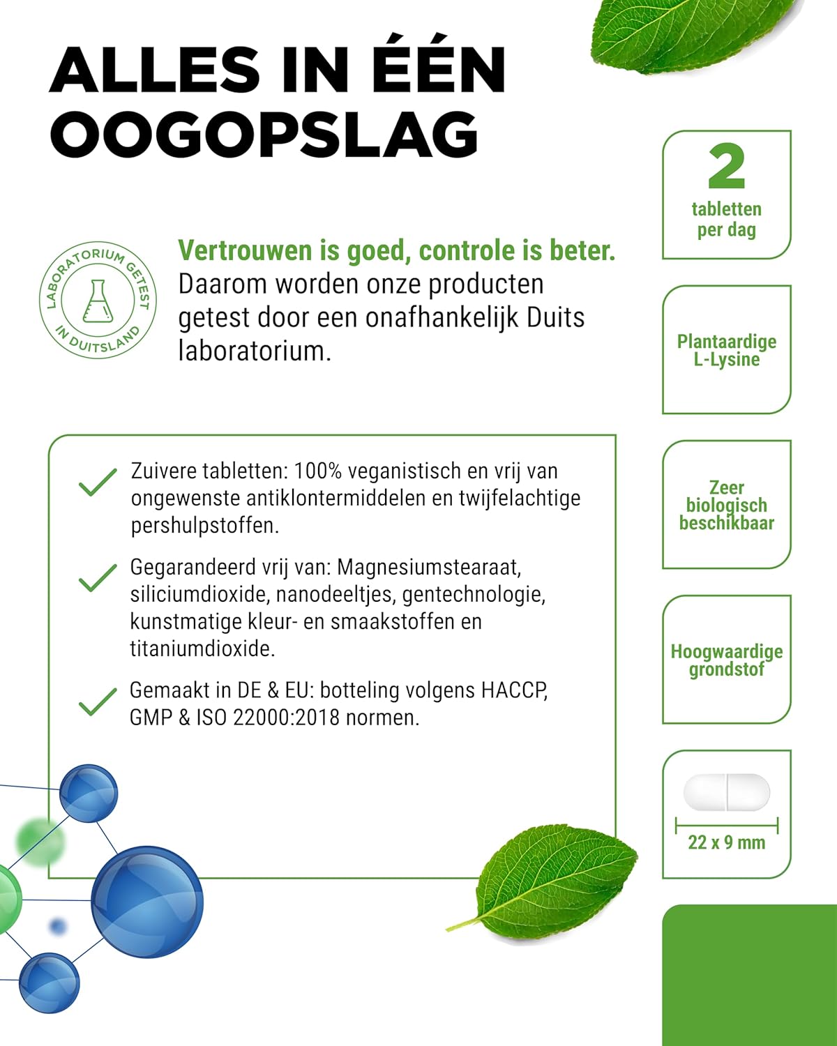 L-Lysine 1000 mg tabletten | Vit4ever