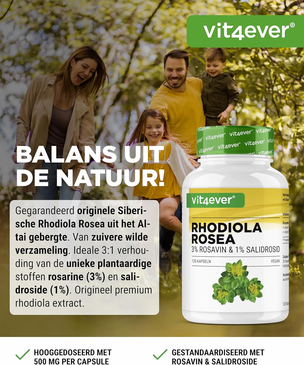 Rhodiola Rosea Extract 500mg | 120 Capsules | Vit4ever