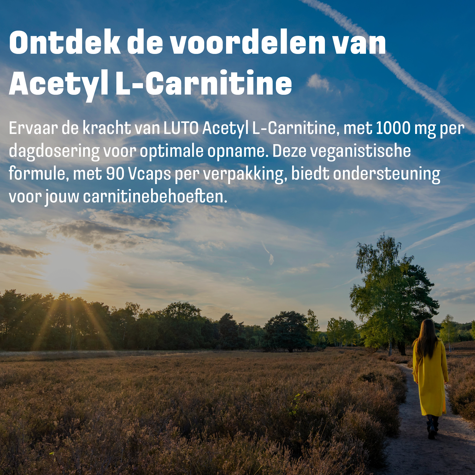 Acetyl L-Carnitine 1000mg + Vitamine B12 | 90 plantaardige capsules | LUTO Supplements