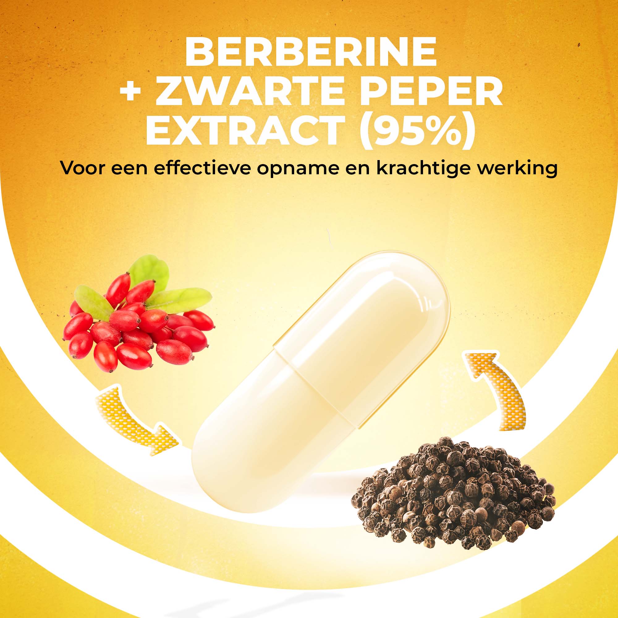 Berberine HCL 97% + Zwarte peper extract | 180 Vegan Capsules | LUTO Supplements