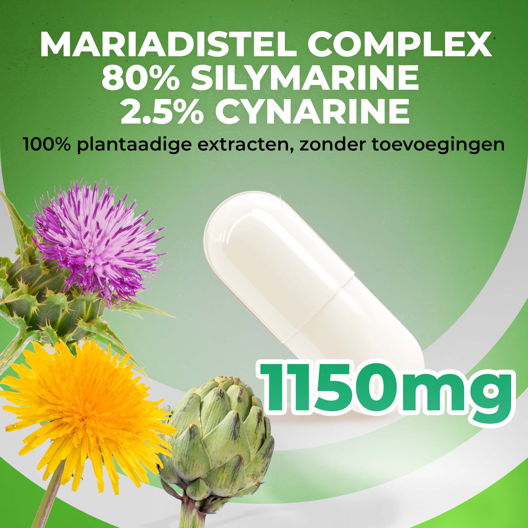 Mariadistel complex | 365 capsules | LUTO Supplements