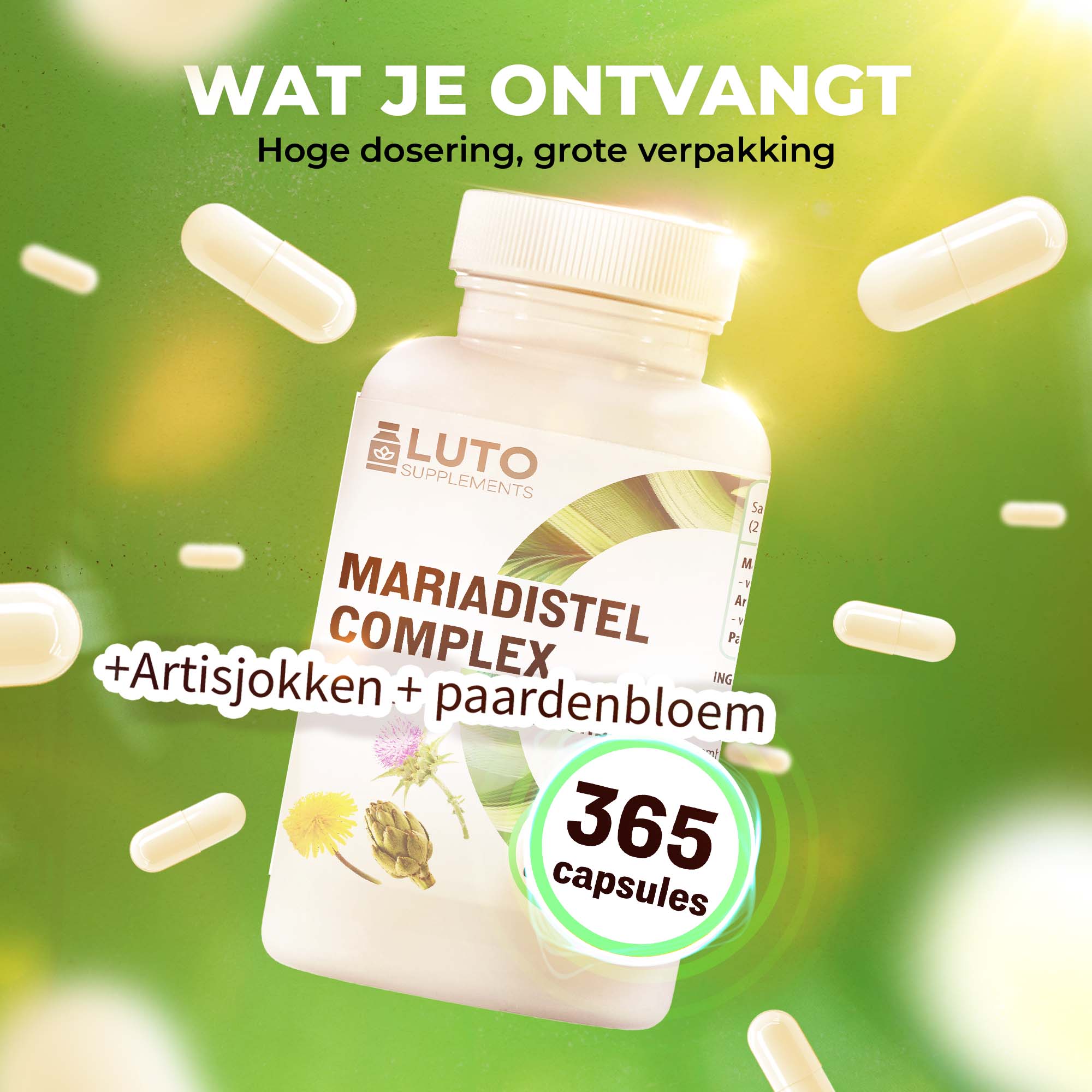 Mariadistel complex | 365 capsules | LUTO Supplements