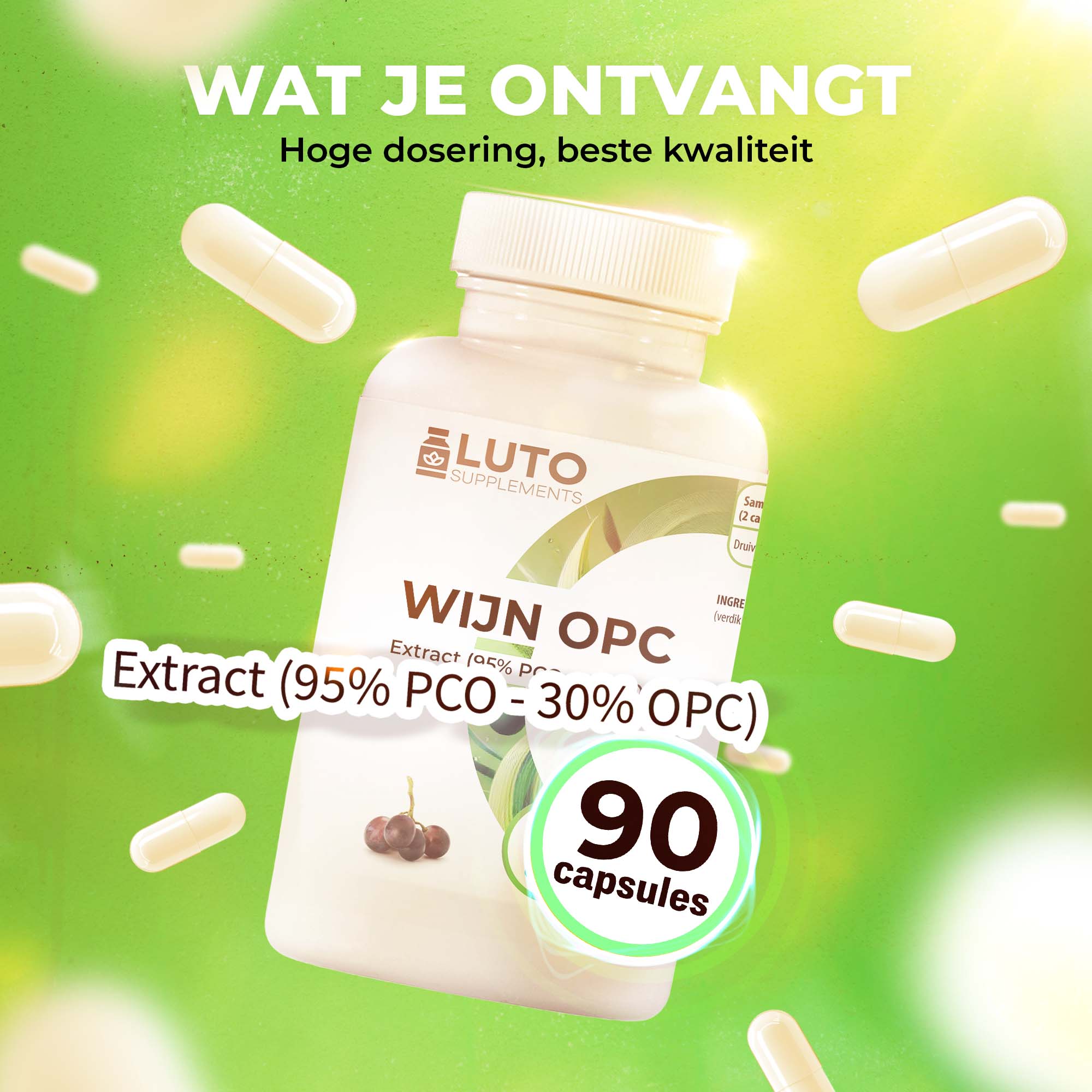 OPC-Traubenkernextrakt (95 % PCO – 30 % OPC) | 90 Kapseln | LUTO Supplements