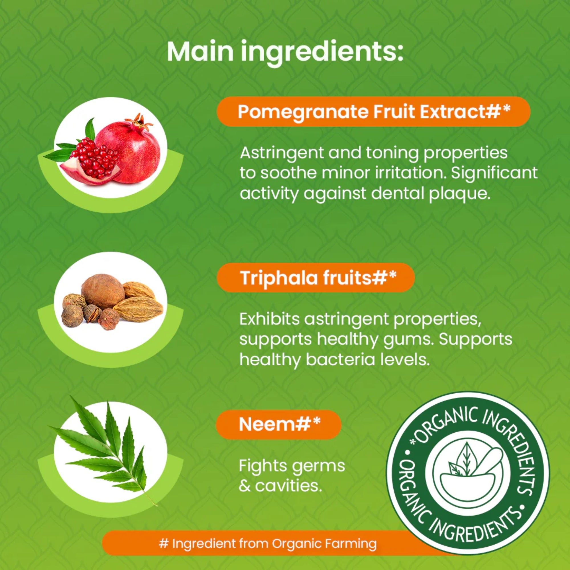 Botanische Neemboom & Granaatappel Tandpasta | Himalaya