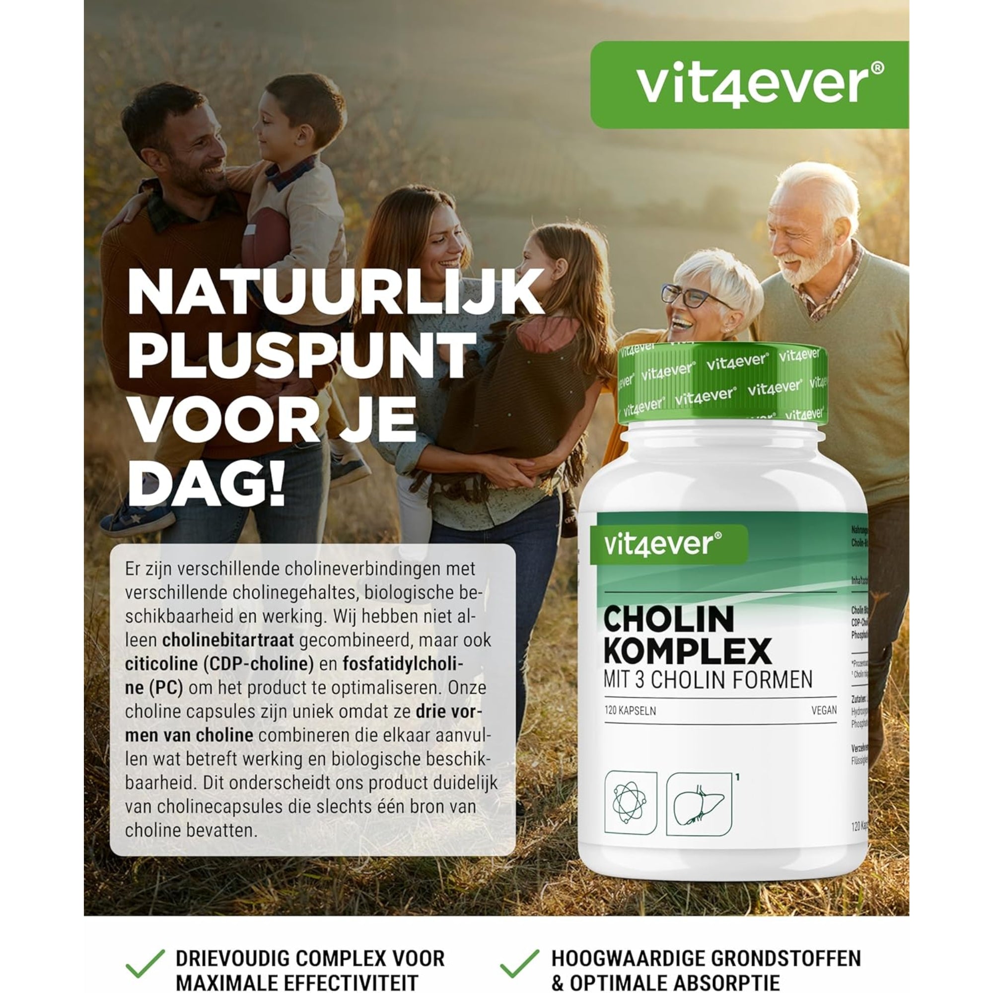 Choline complex met 3 vormen | 120 capsules | Vit4ever
