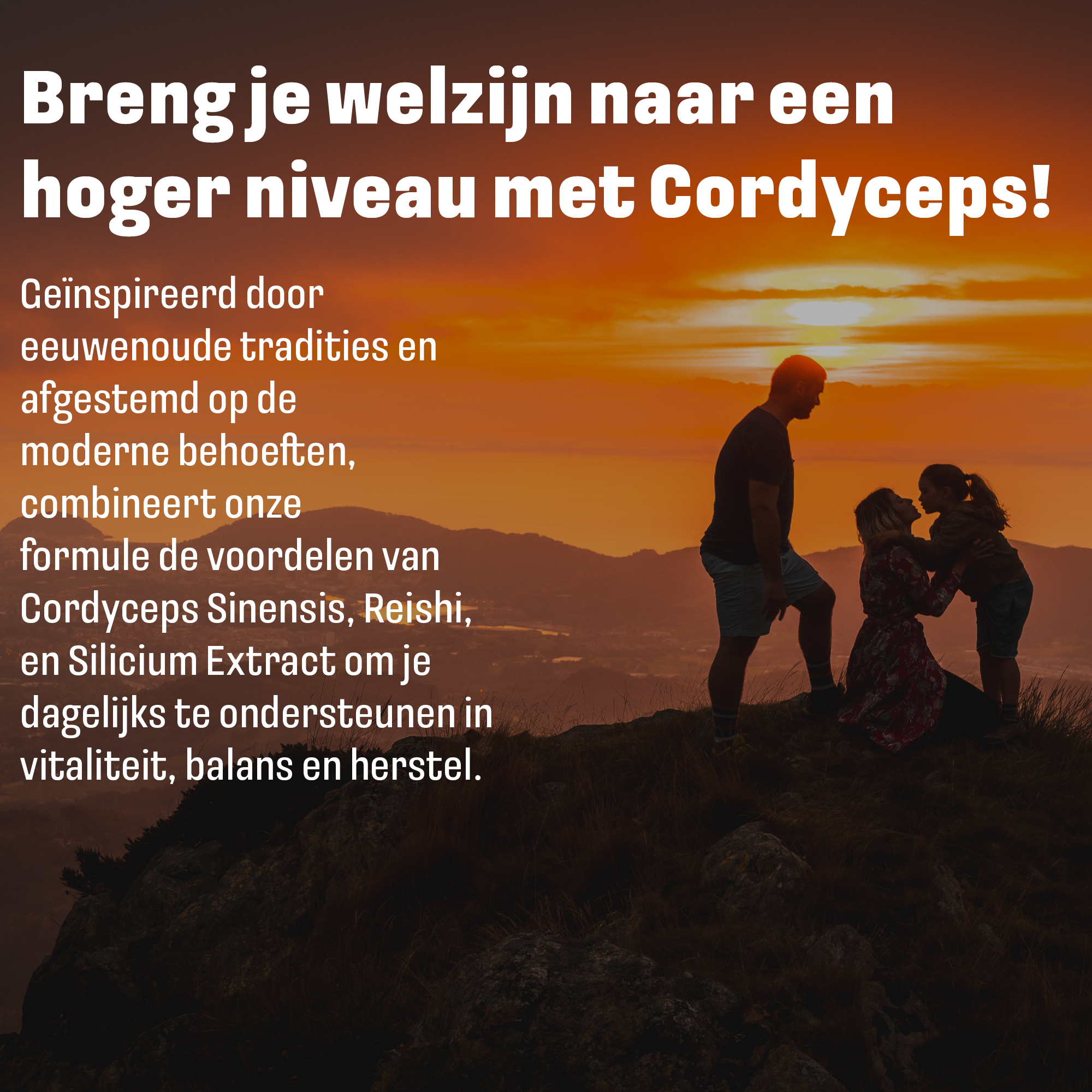 Cordyceps Plus (Met Reishi Extract) | 60 capsules | LUTO Supplements