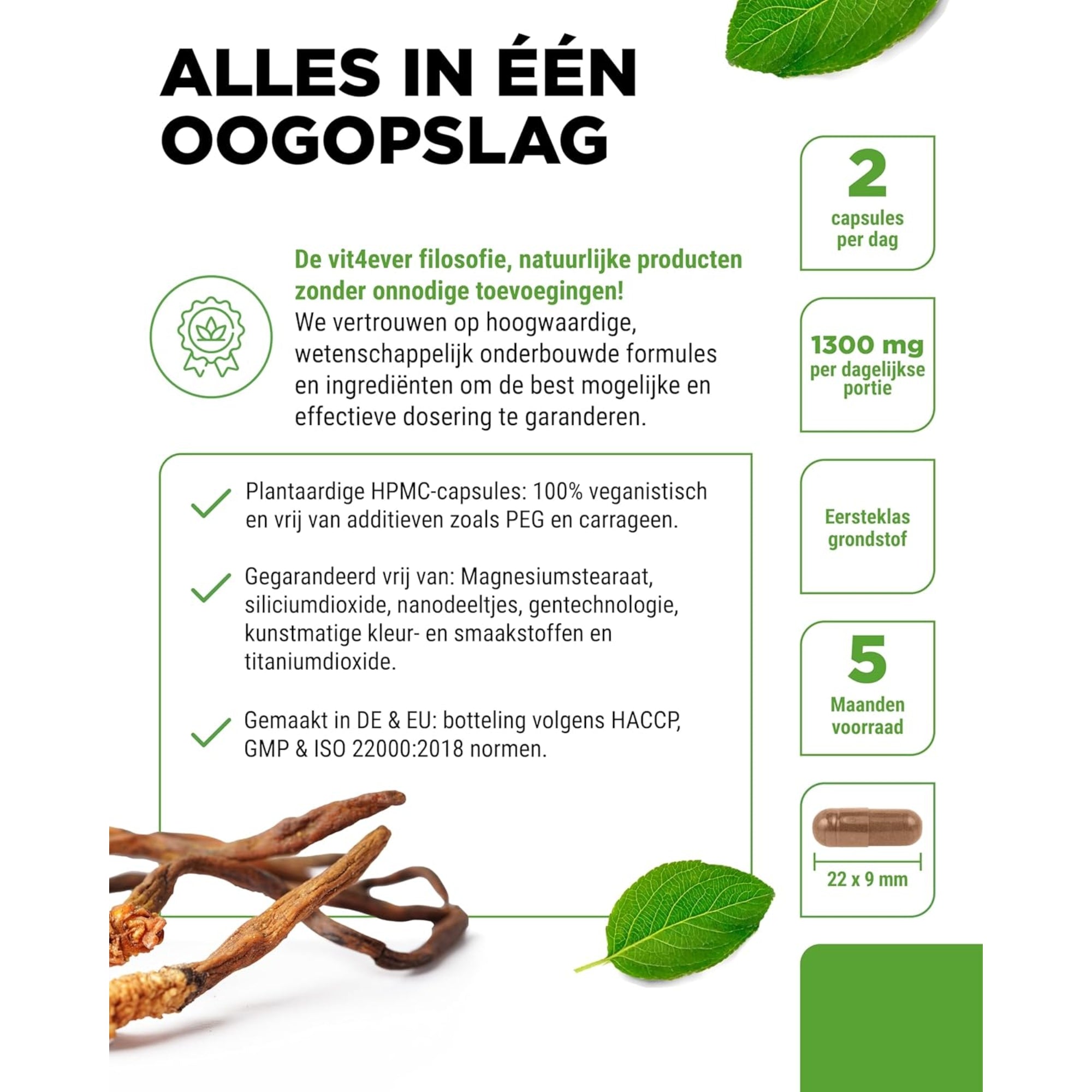 Cordyceps Sinensis CS-4 (40% polysachariden) | 180 of 300 capsules | Vit4ever