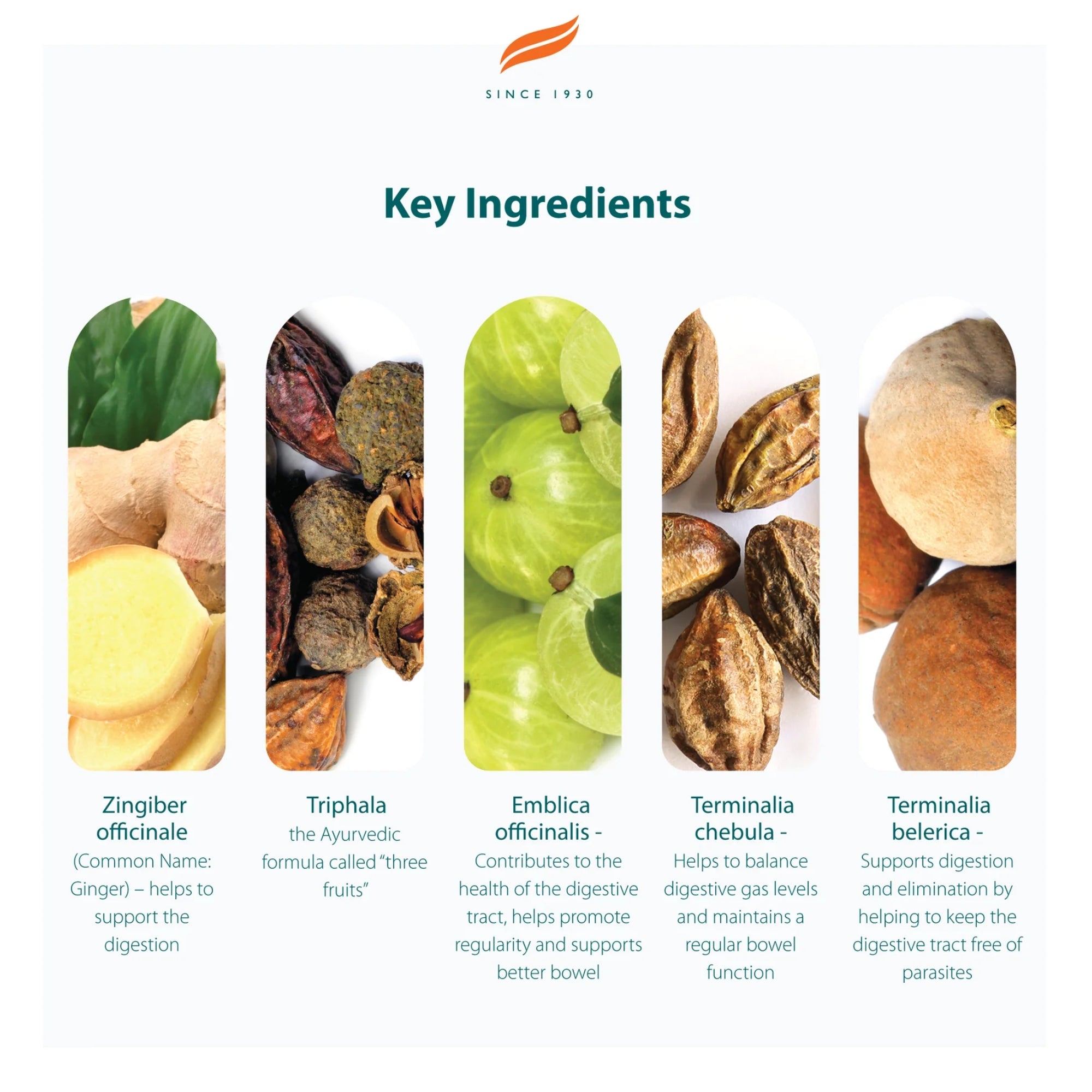 Gasex | 100 tabletten | Himalaya