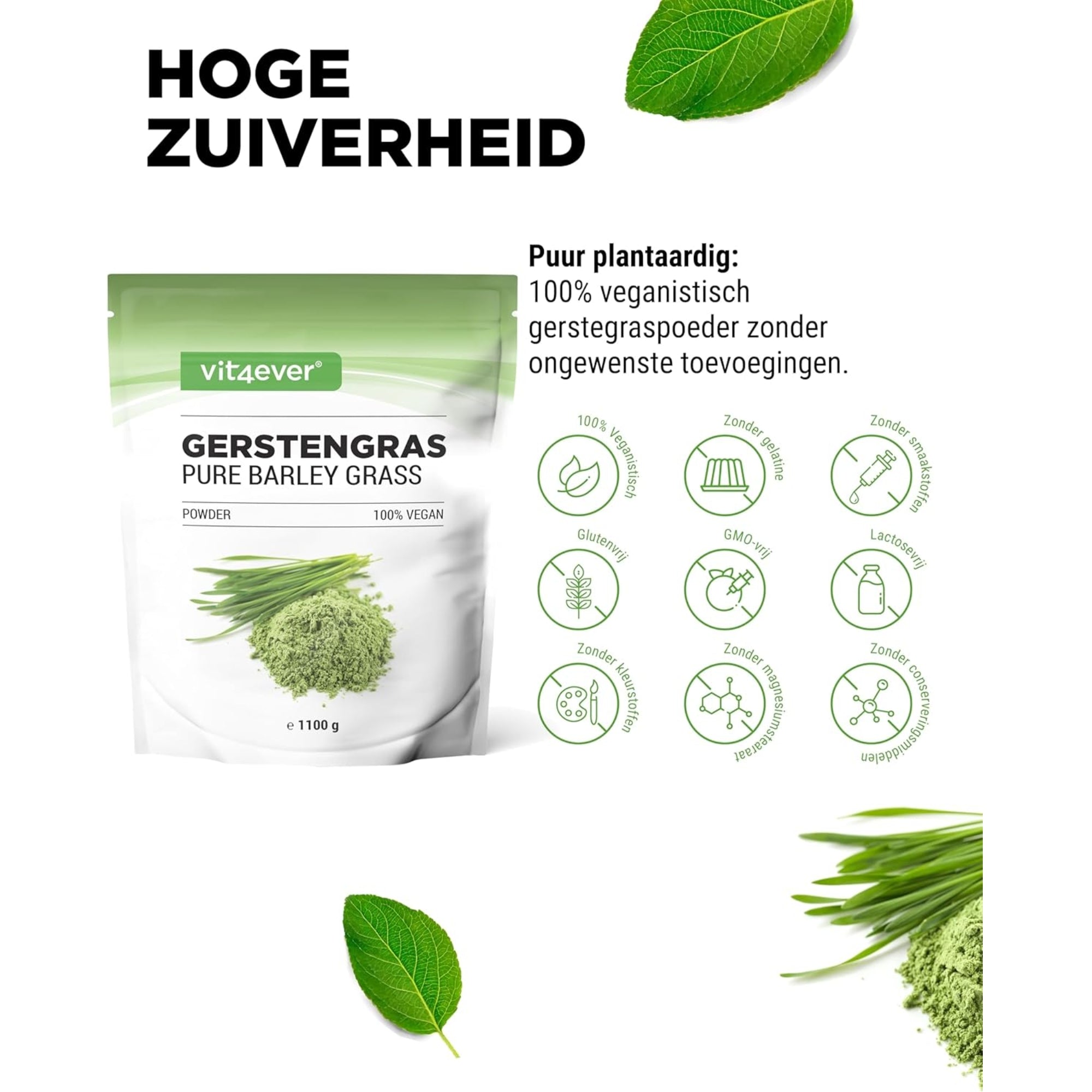 Gerstengraspulver (Gerstengras) | 1,1 kg | Vit4ever