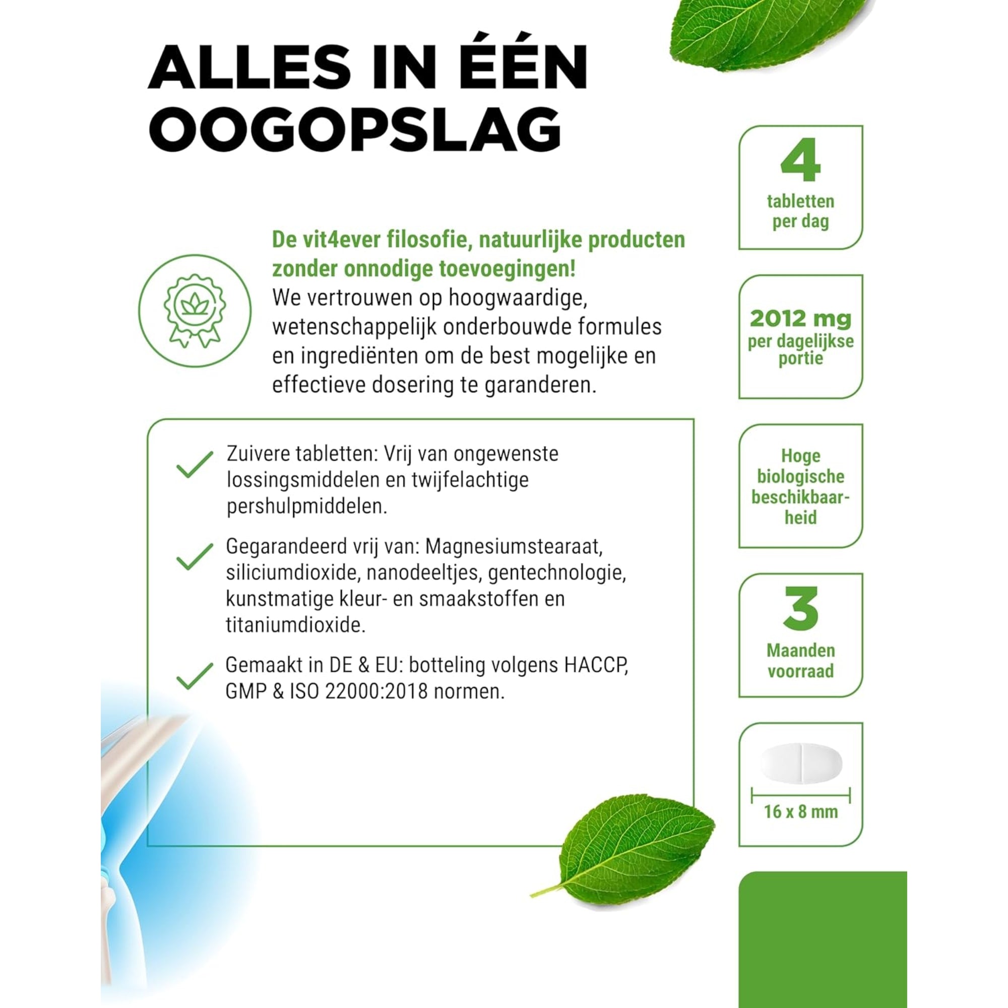 Glucosamine Chondroïtine & MSM | 365 Tabletten | Vit4ever