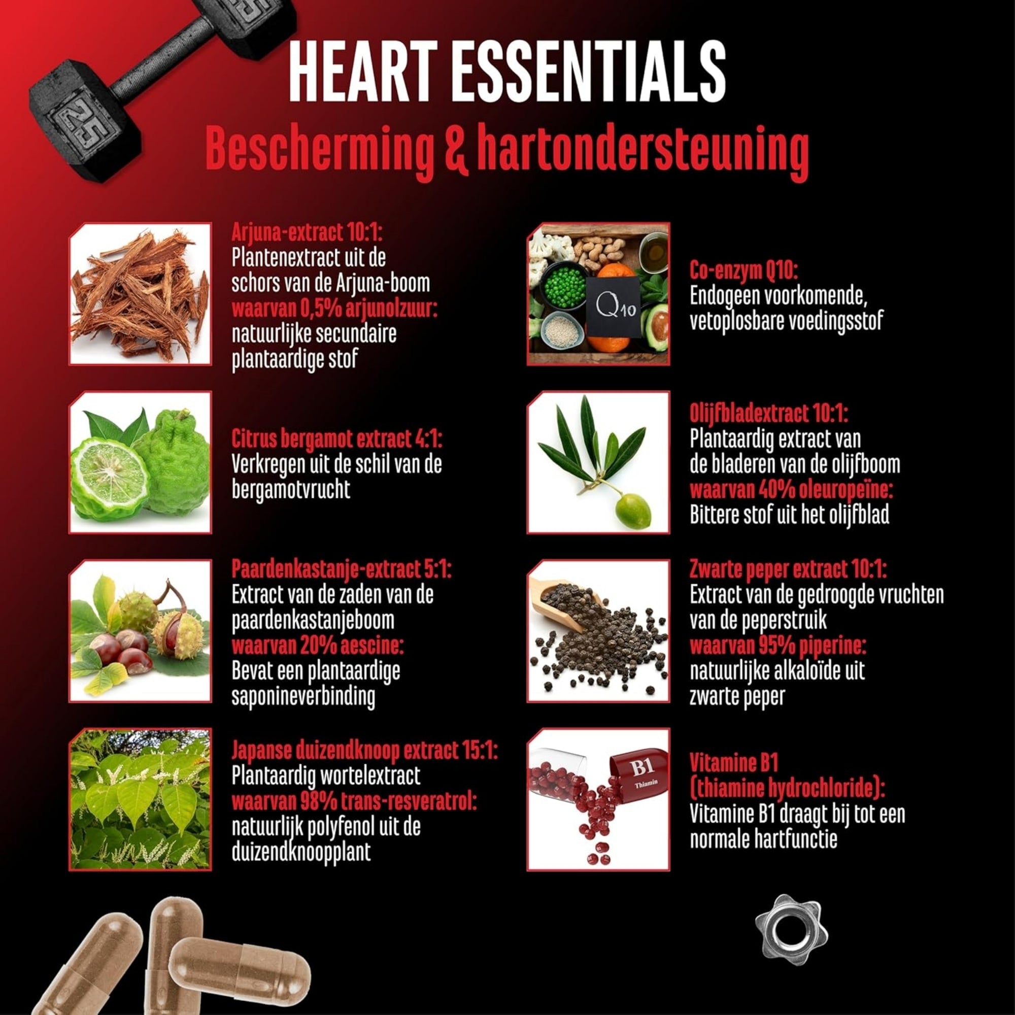 Heart Essentials | 120 Capsules | GEN