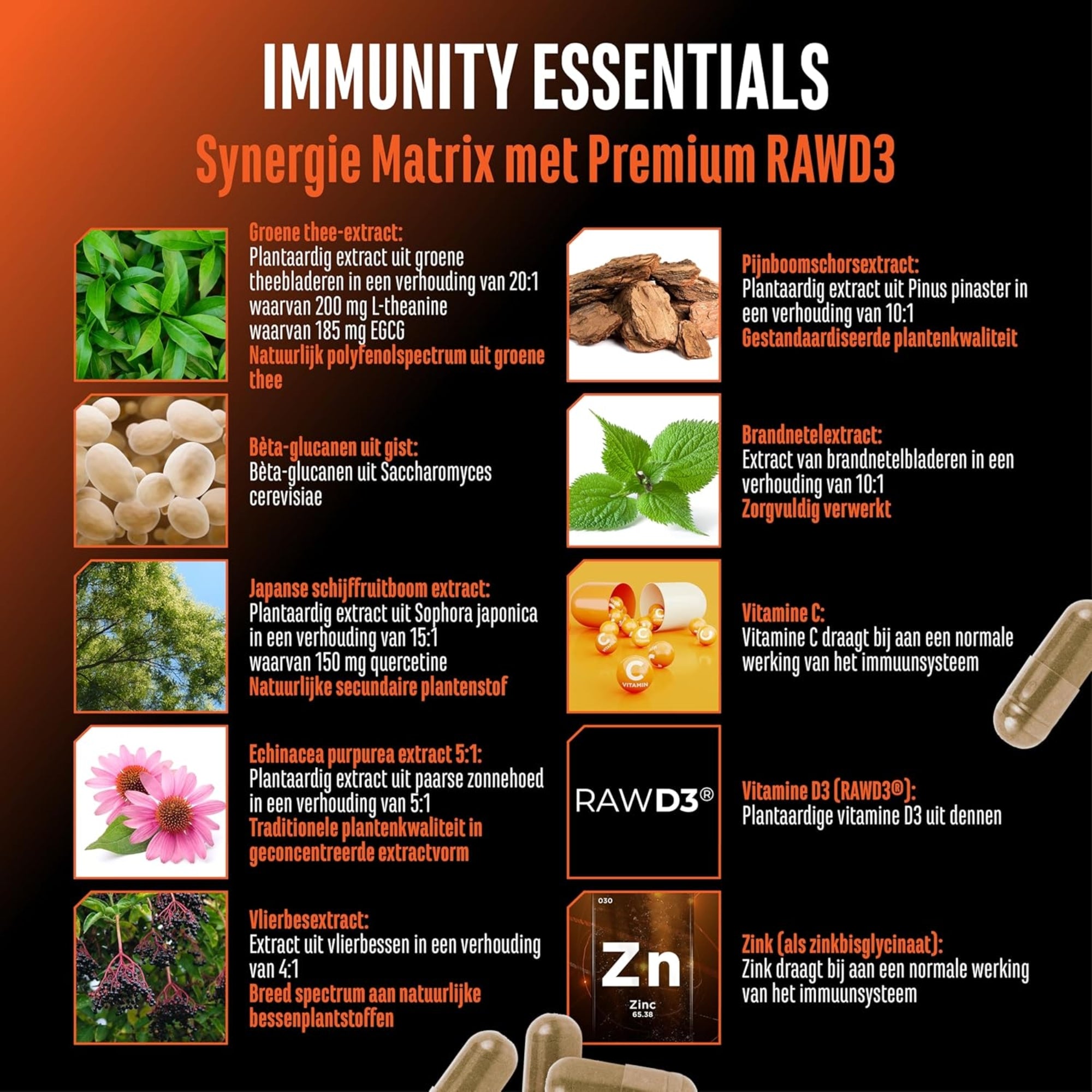 Immunity Essentials (Immuun Ondersteuningsformule) | 180 capsules | German Elite Nutrition