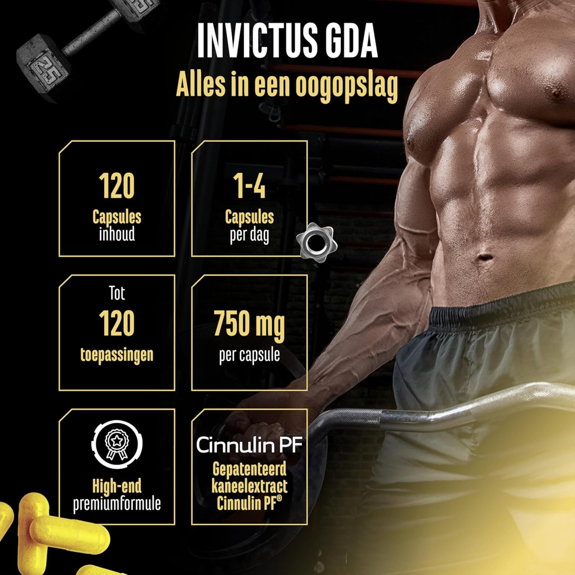Invictus GDA (Glukoseformel) | 120 Kapseln | German Elite Nutrition