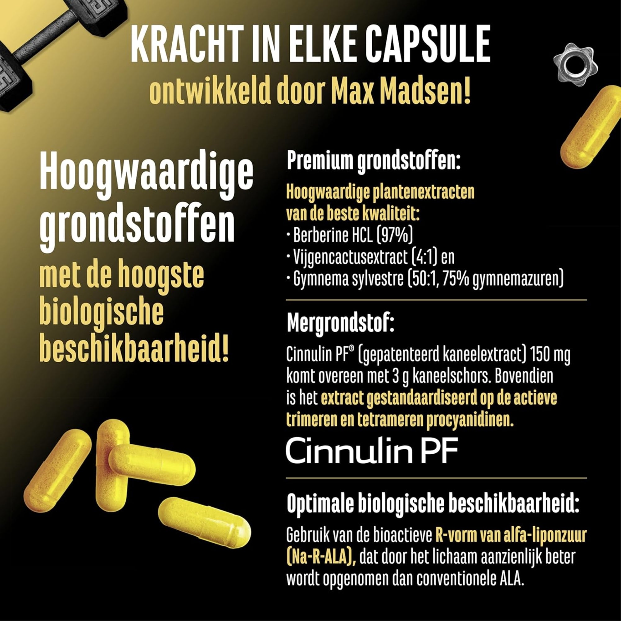 Invictus GDA (Glukoseformel) | 120 Kapseln | German Elite Nutrition