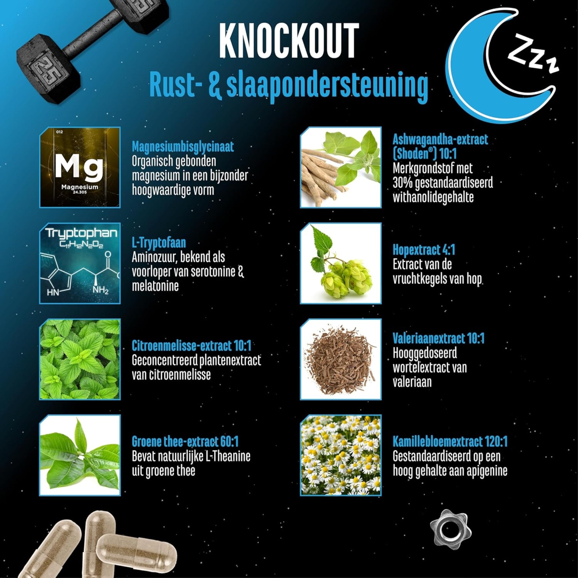 Knockout (Shoden®, Magnesium &amp; Pflanzenextrakte) | 120 Kapseln | German Elite Nutrition