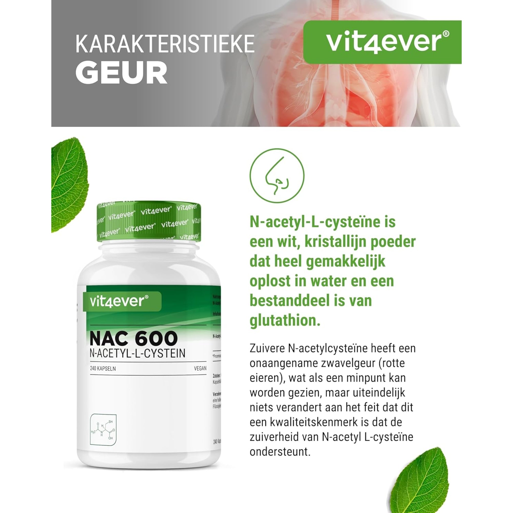 NAC | N-Acetyl L-Cysteïne 180 capsules | 600 mg | 6 maanden voorraad | Veganistisch | Hoog gedoseerd | Vit4ever