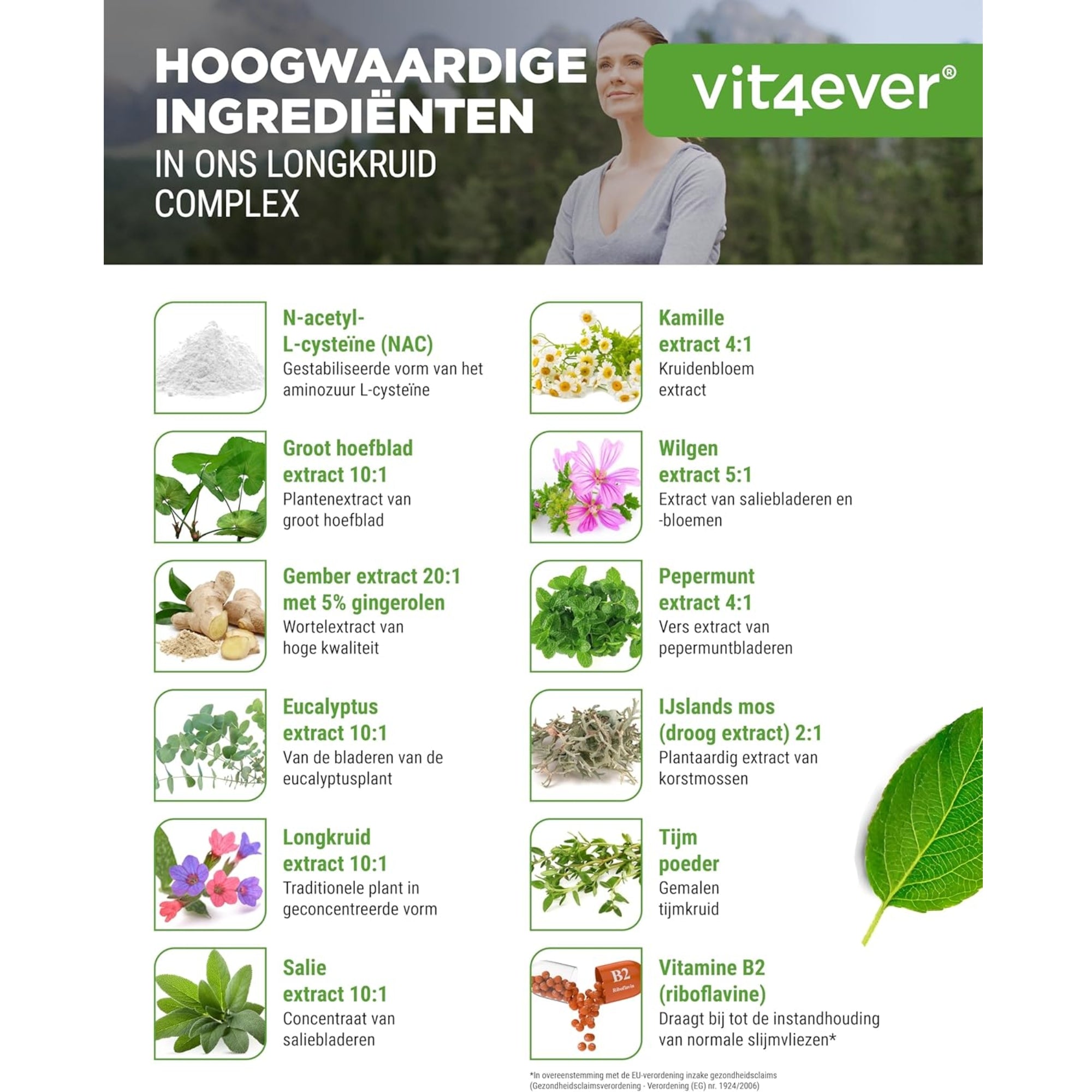 Lungenkraut-Atemwegskomplex mit NAC &amp; Kräutern | 180 Kapseln | Vit4ever