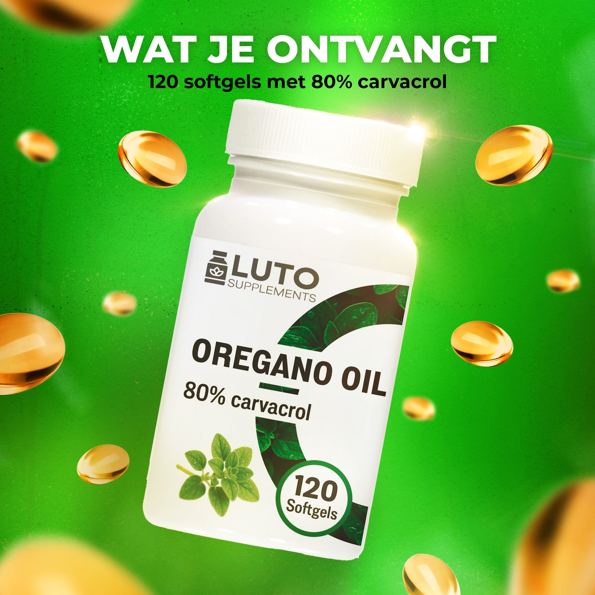 Oregano olie 150 mg 80% Carvacrol | 120 capsules | LUTO Supplements