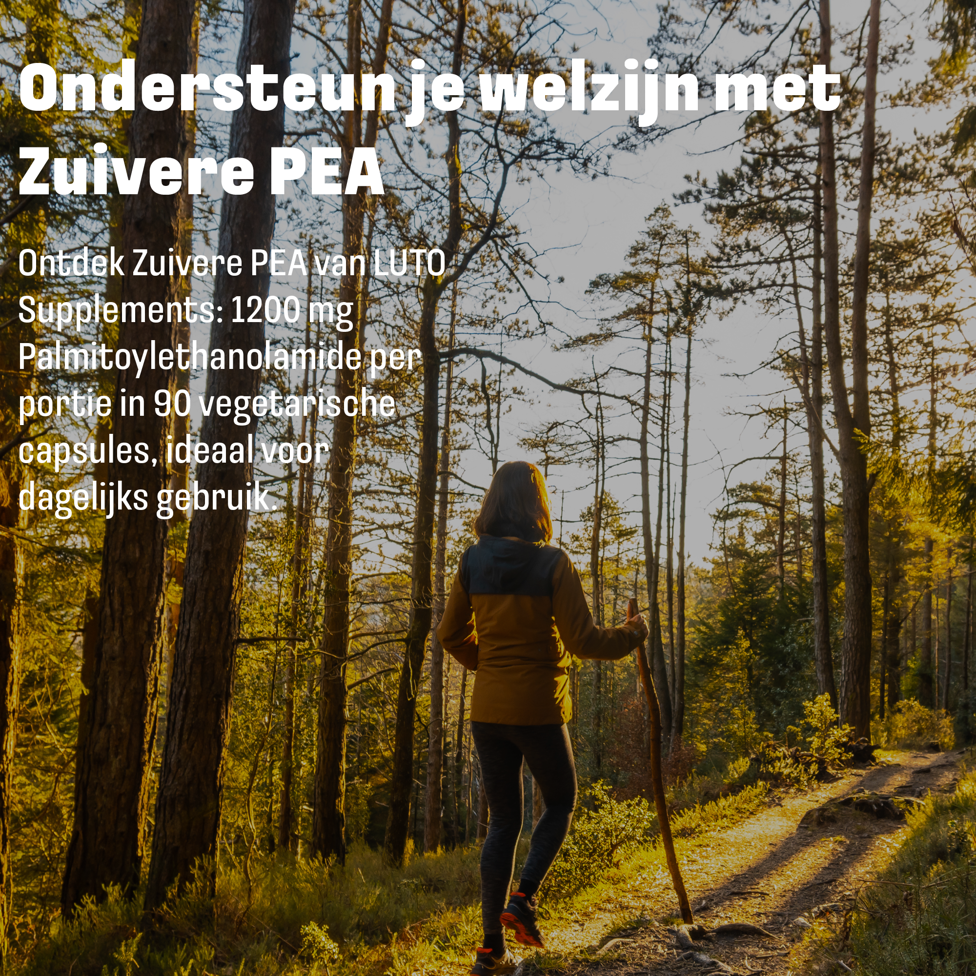 PEA (Palmitoylethanolamide) 1200mg | 90 vegan capsules | LUTO Supplements