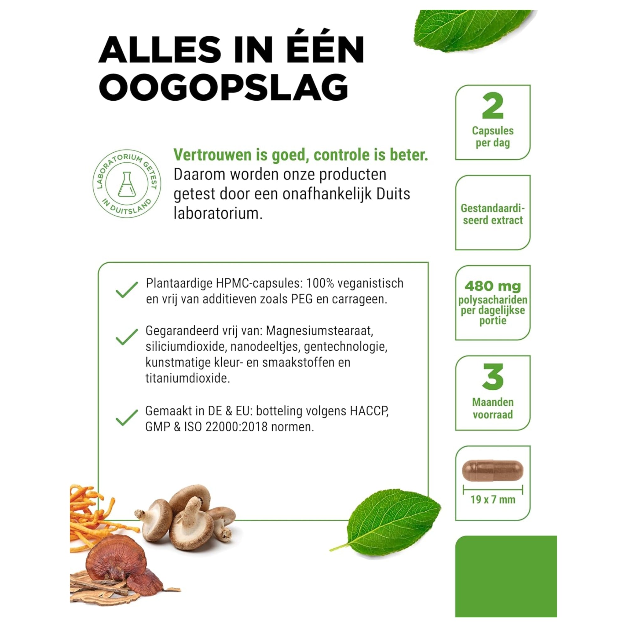alles in een oog opslag