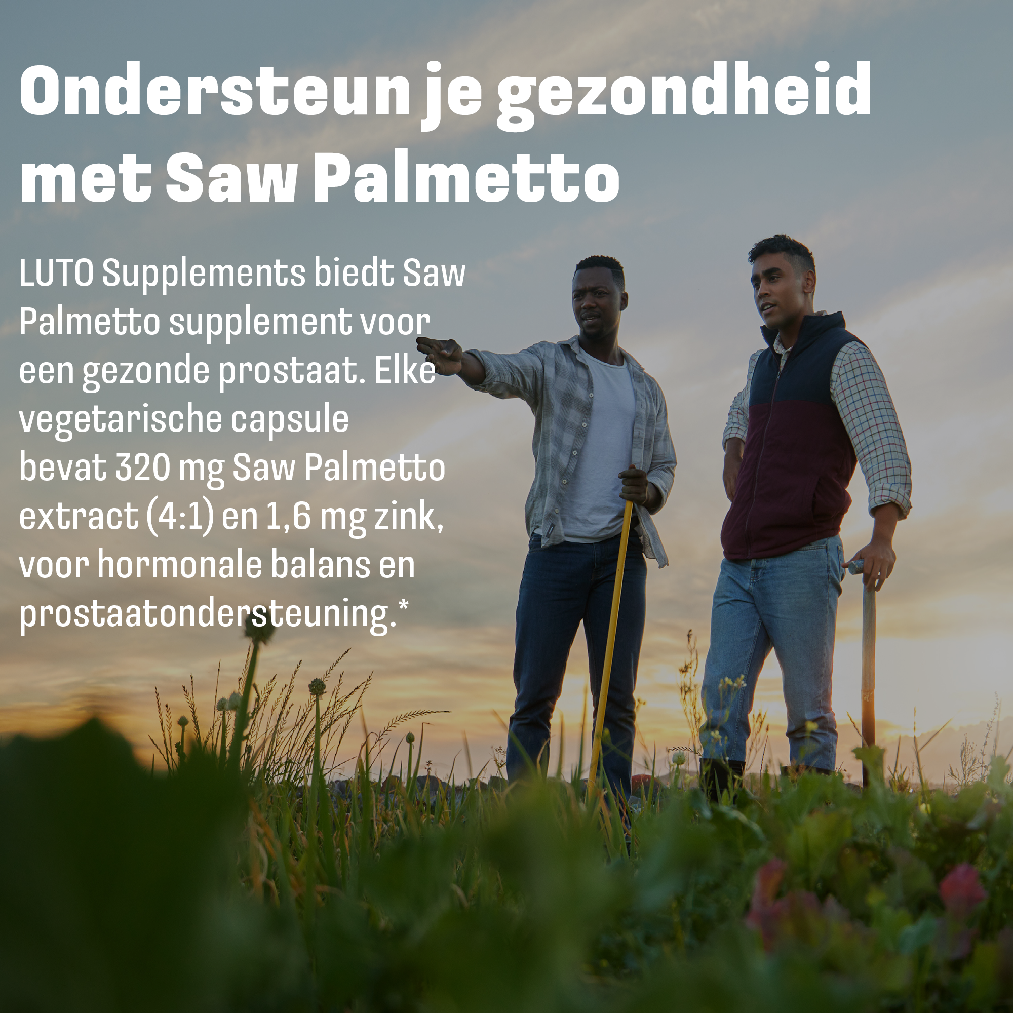 Sägepalme + Zink | 60 pflanzliche Kapseln | LUTO Supplements