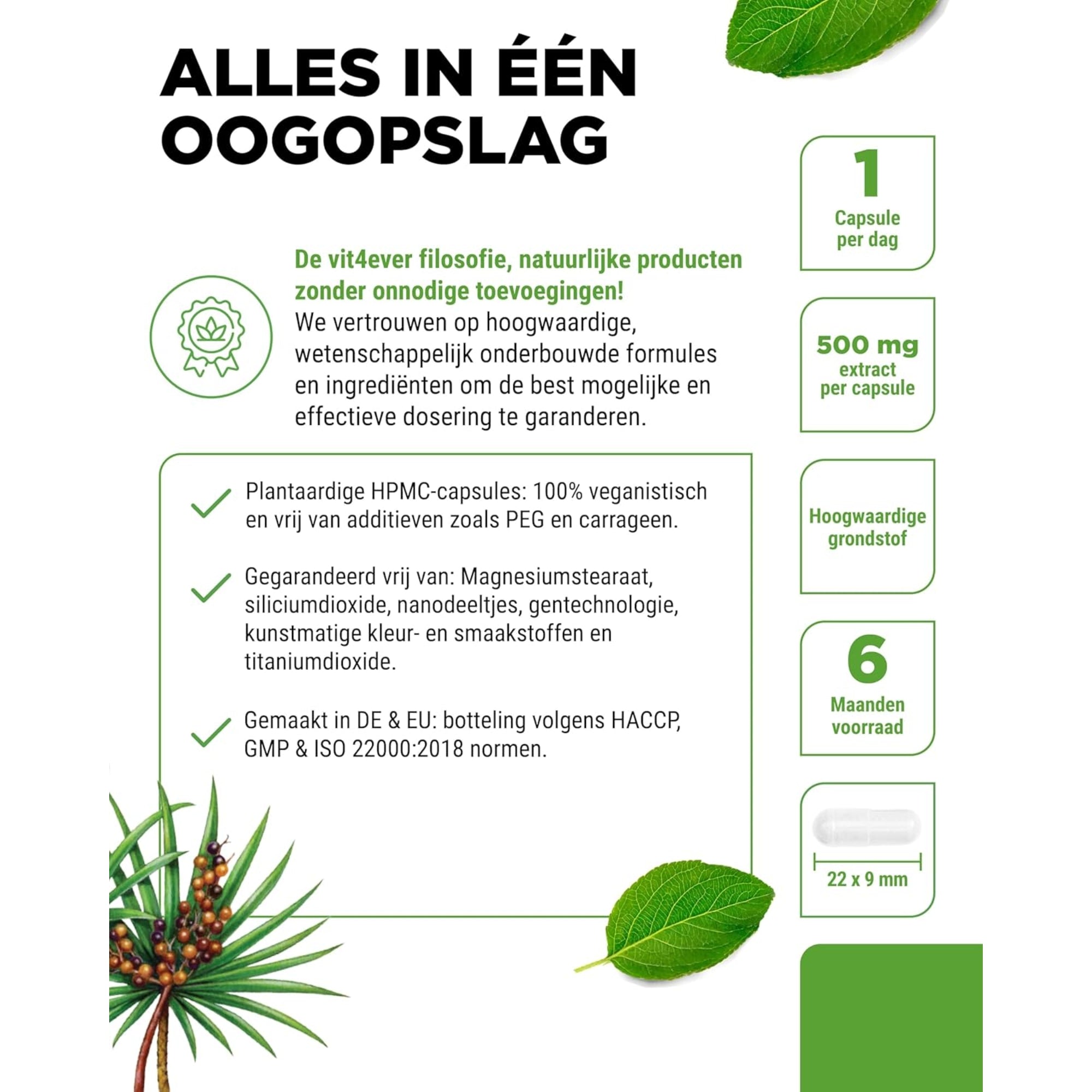 Saw Palmetto extract 500 mg | 180 capsules | Vit4ever