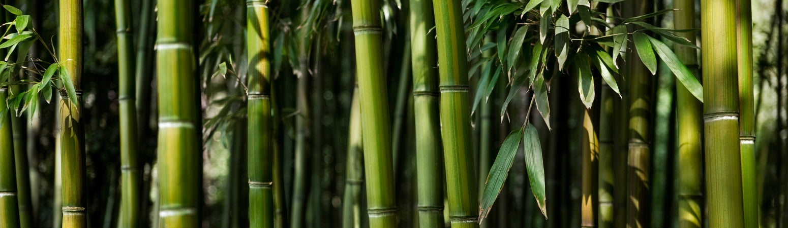 Ingredient Image Desktop