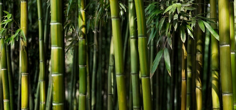 Ingredient Image Mobile