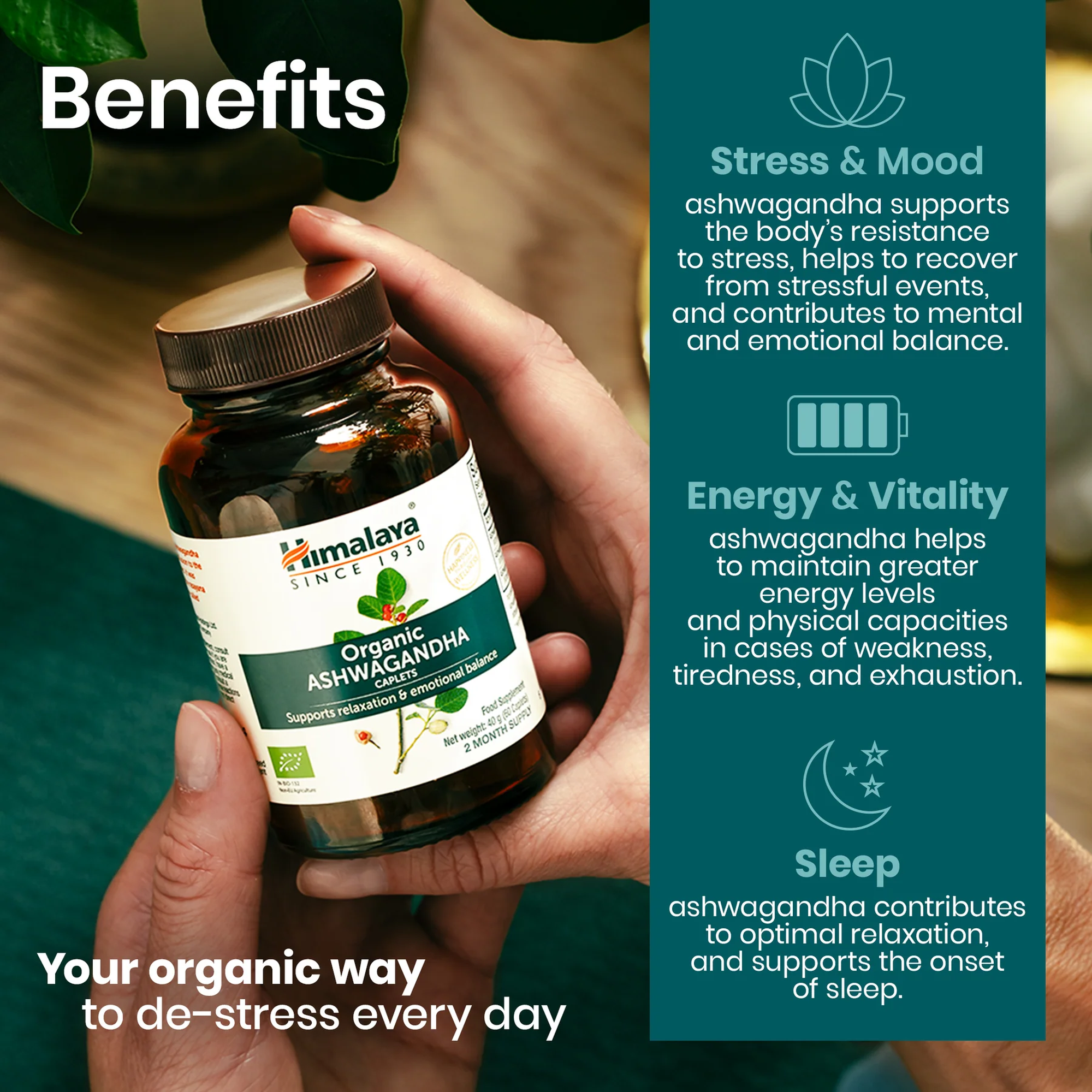 Voordelen Himalaya Ashwagandha: stress en stemming, energie en vitaliteit, slaap