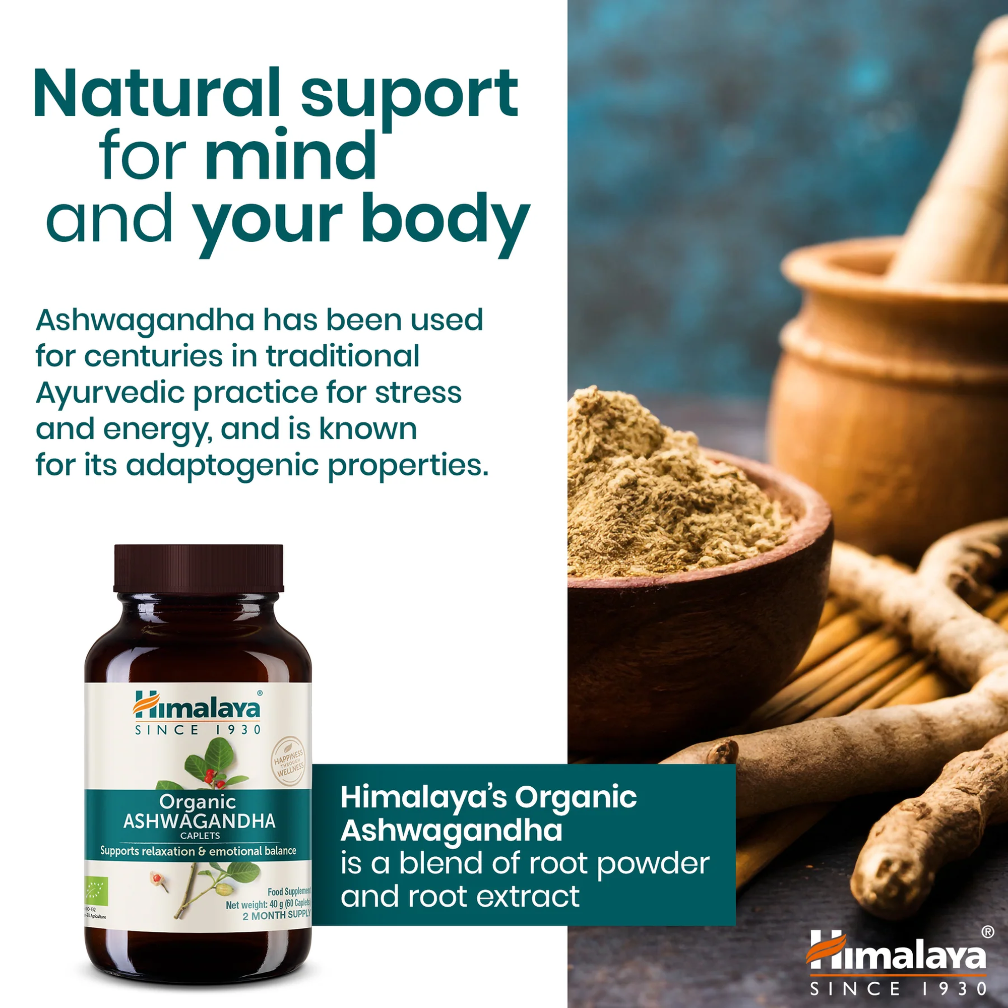 Himalaya Ashwagandha natuurlijke ondersteuning voor lichaam en geest