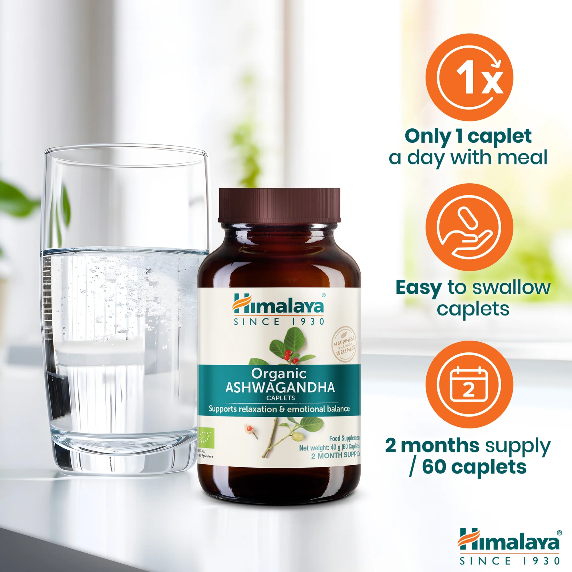 Himalaya Ashwagandha een caplet per dag bij een maaltijd, 60 caplets