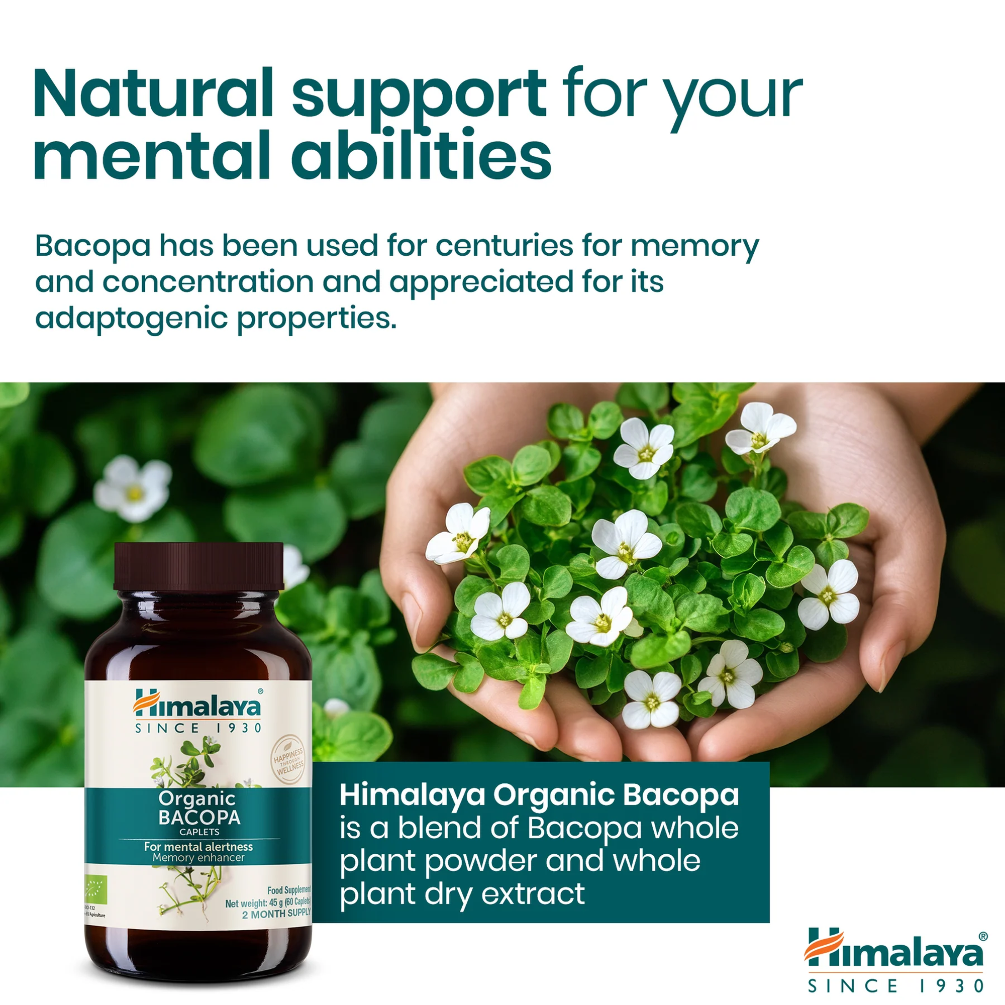 Himalaya Bacopa natuurlijke ondersteuning voor geheugen en concentratie