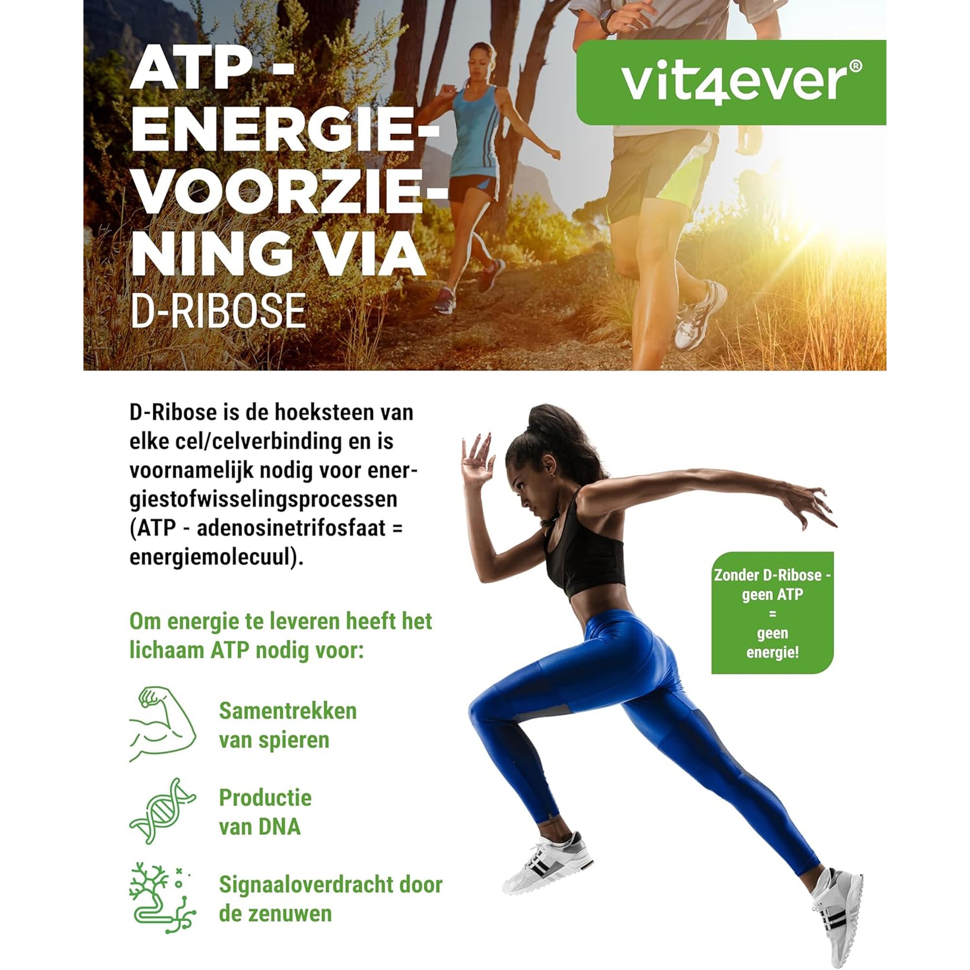 Zuiver D-Ribose poeder van Vit4ever, poedertextuur