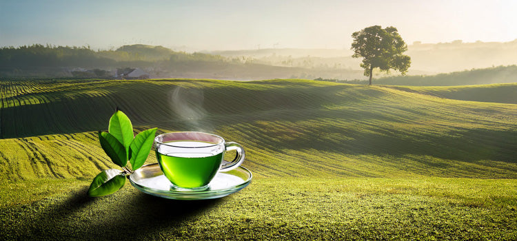 Ingredient 2 Image Desktop