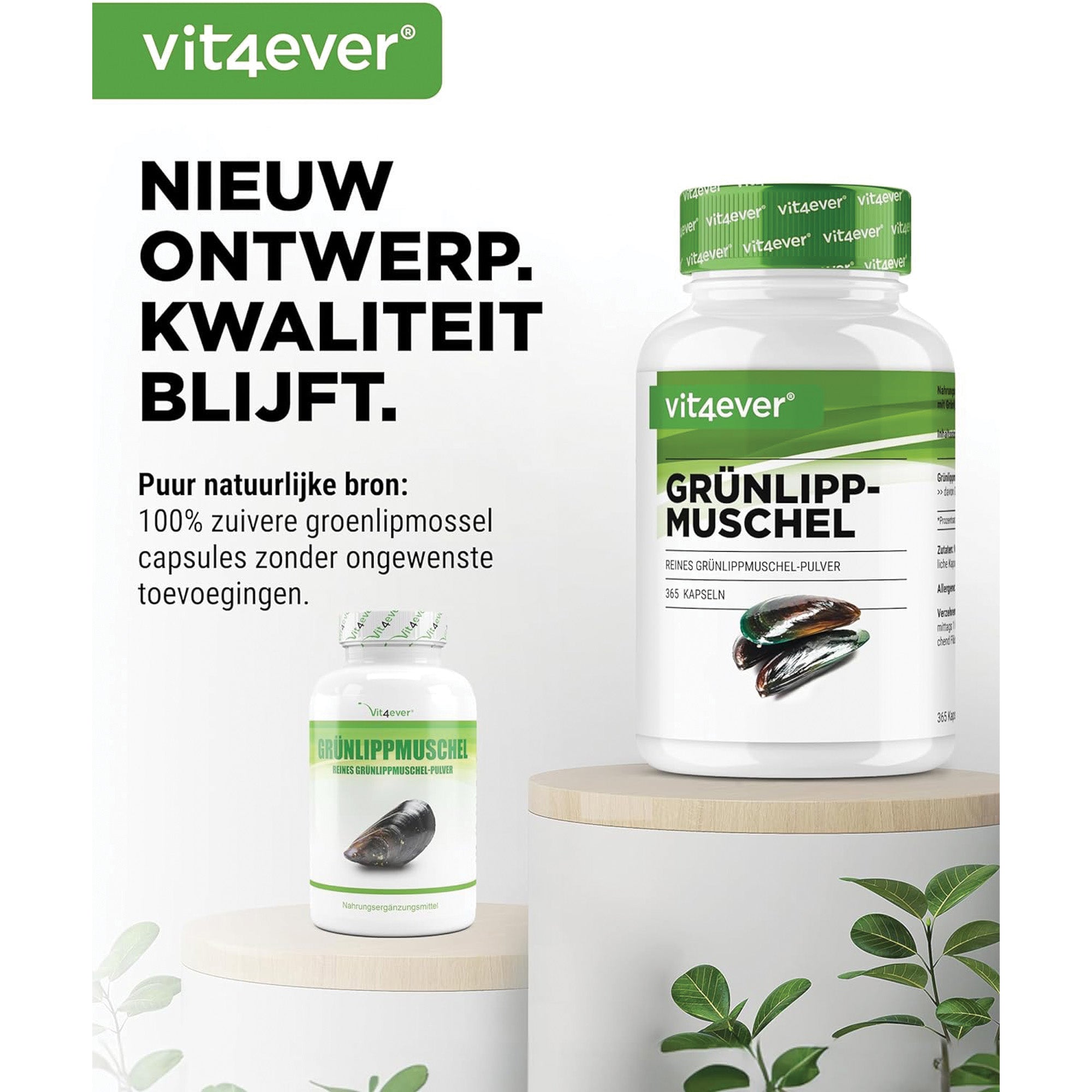 Groenlipmossel 600mg | 365 capsules | Vit4ever