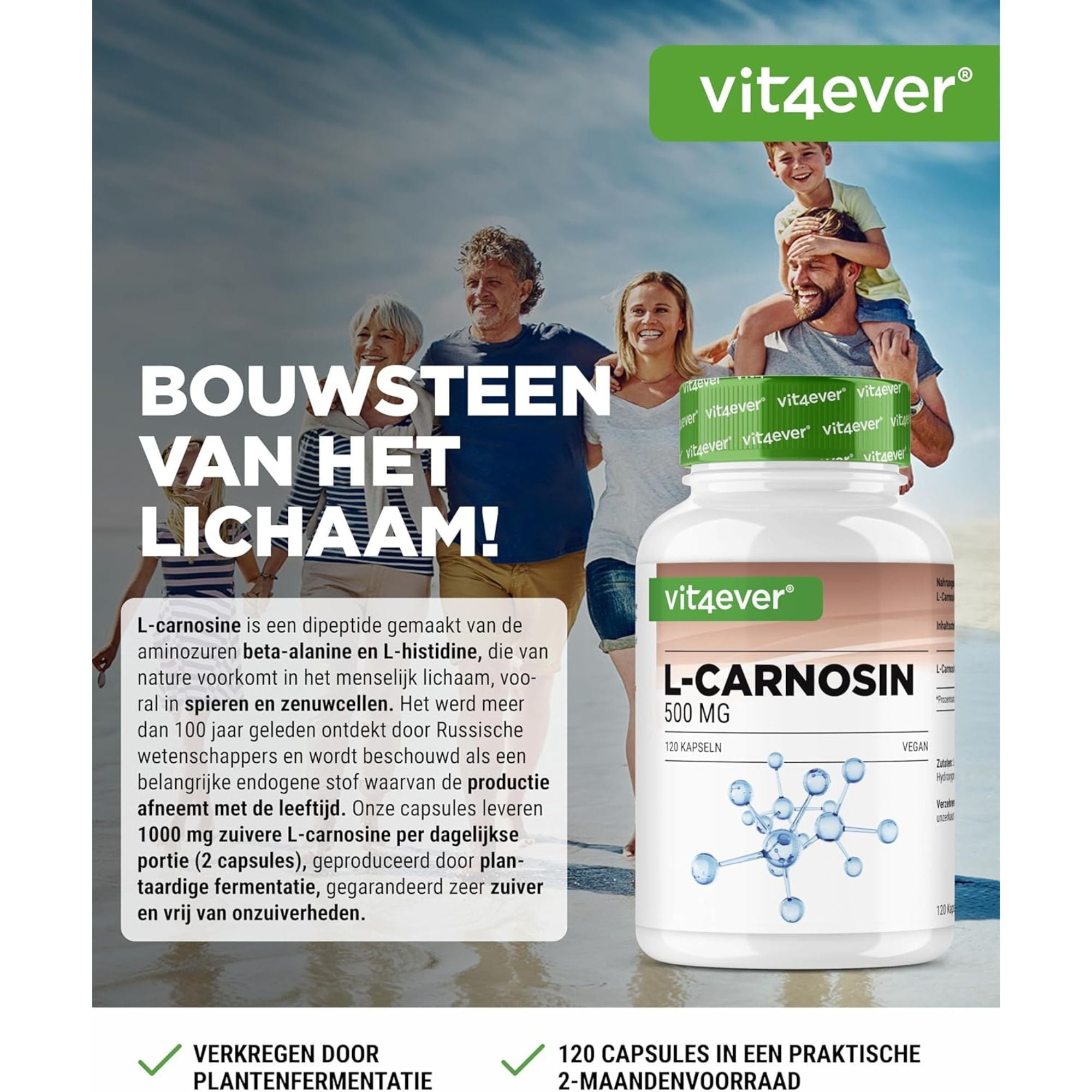 L-Carnosine 500mg | 120 capsules | Vit4ever