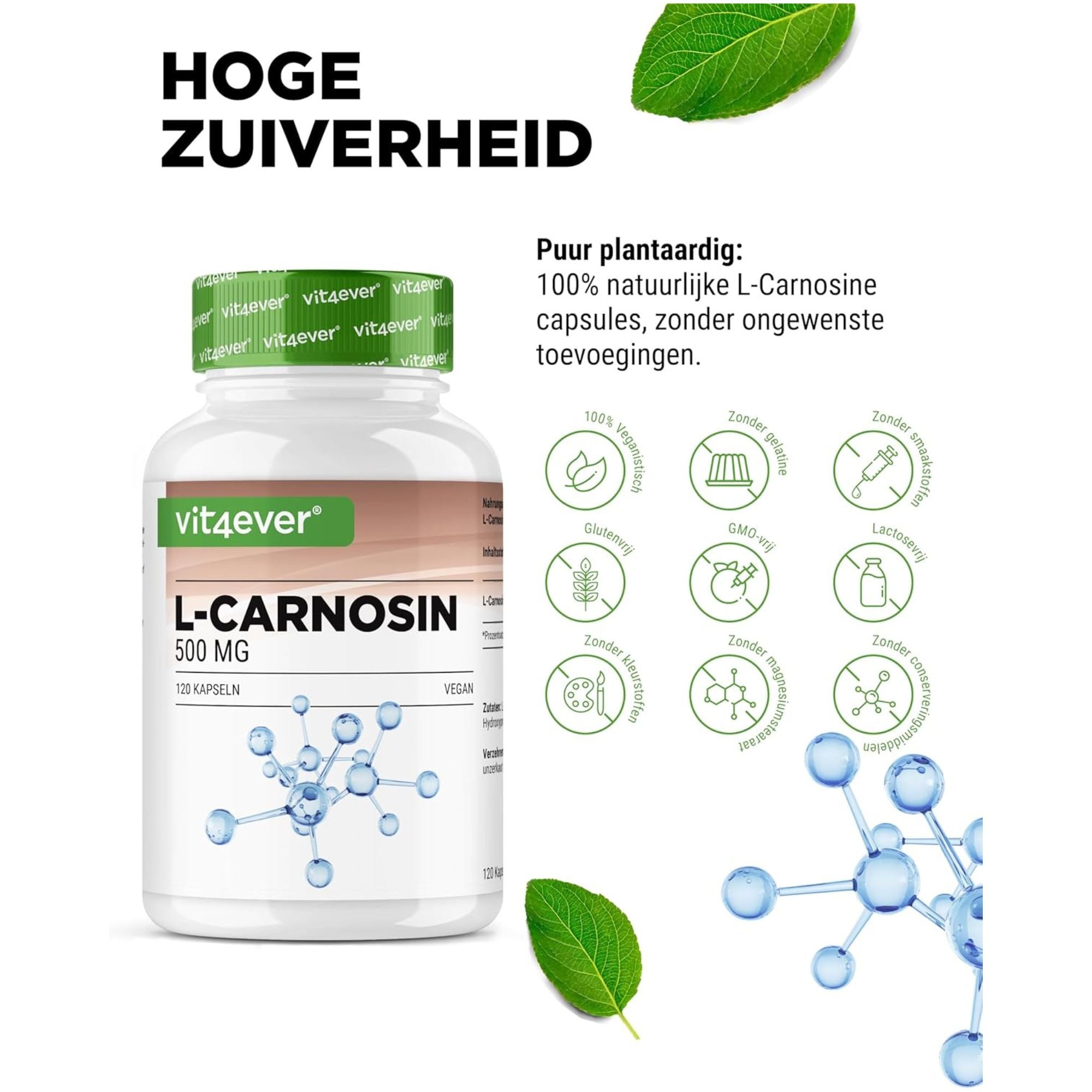 Vit4ever L-Carnosine 500mg - aminozuursupplement zonder onnodige toevoegingen