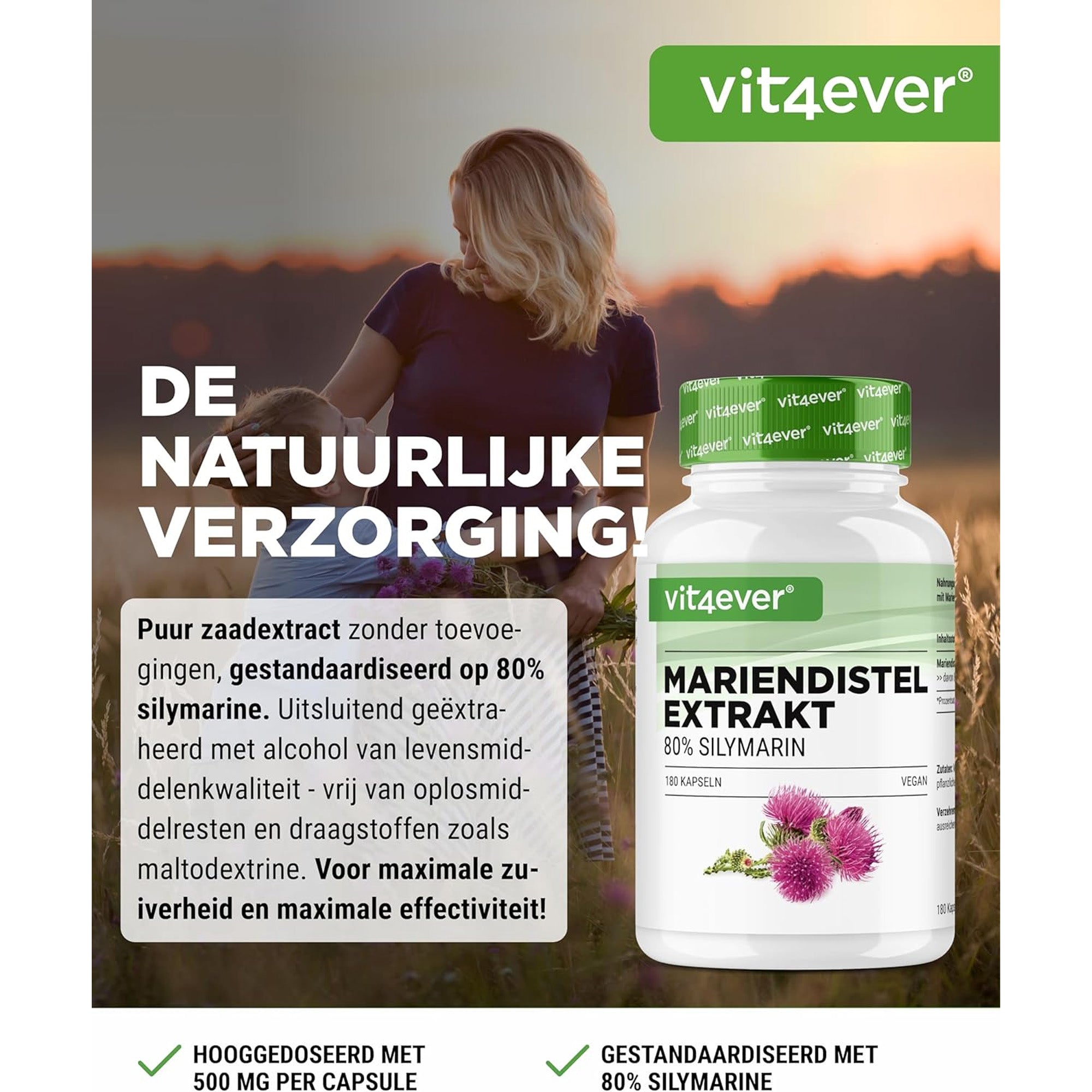 Mariadistelextract (80% Silymarine) 500mg | 180 of 365 capsules | Vit4ever