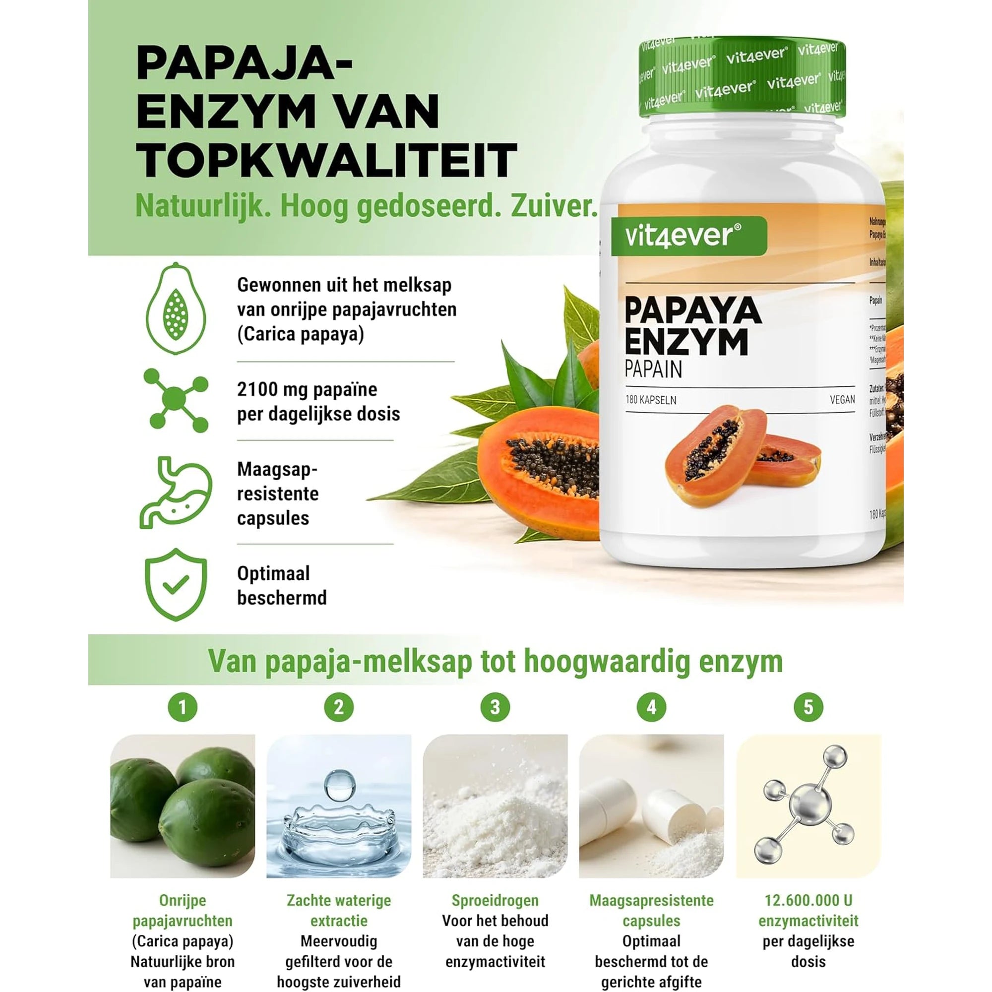 Papaya Enzym gewonnen uit papaja, van melksap tot capsule