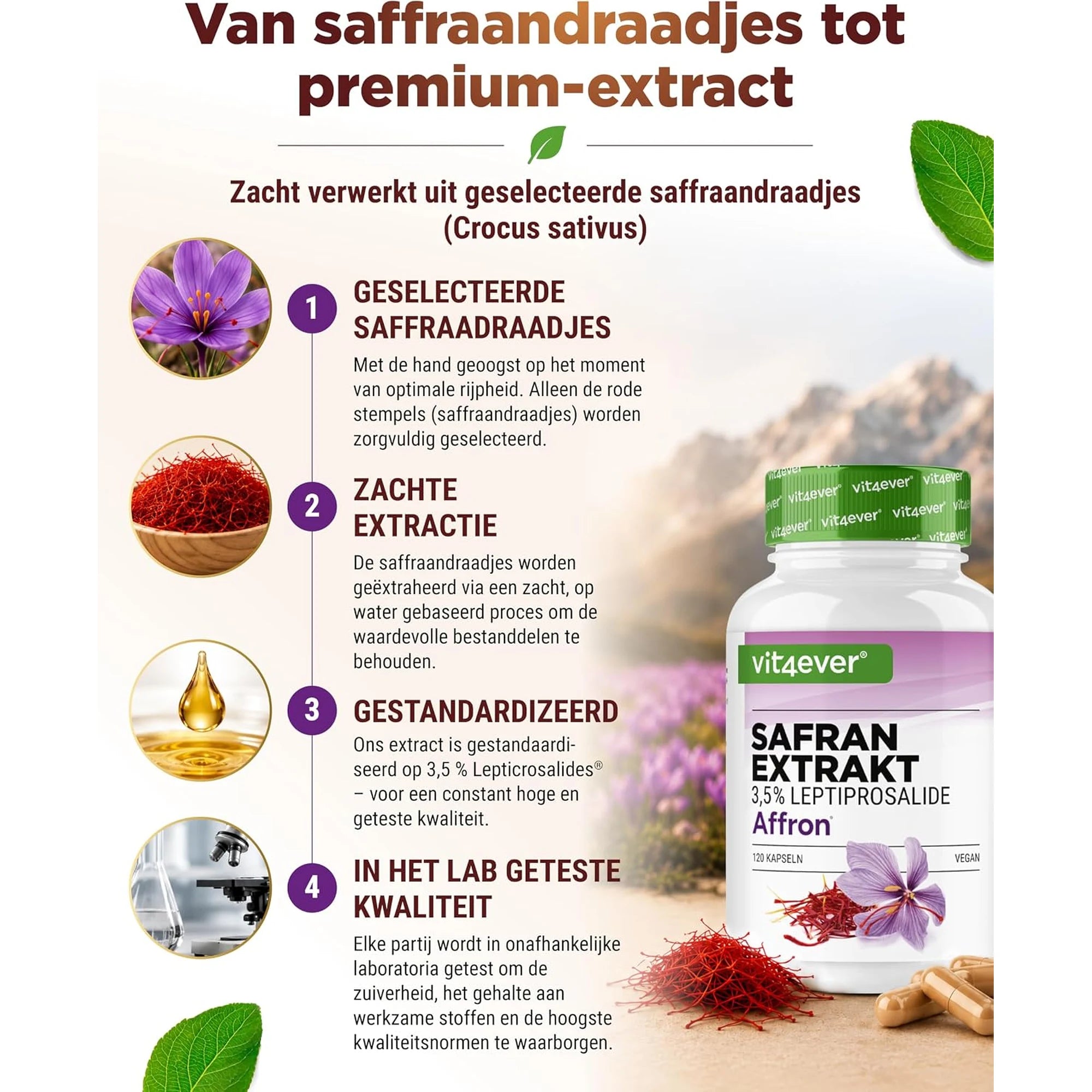 Van saffraandraadjes tot premium saffraanextract, het productieproces