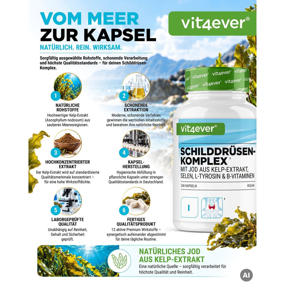 Vit4ever Schildklier Complex met jodium uit kelp-extract (Ascophyllum nodosum), van zeewier tot capsule