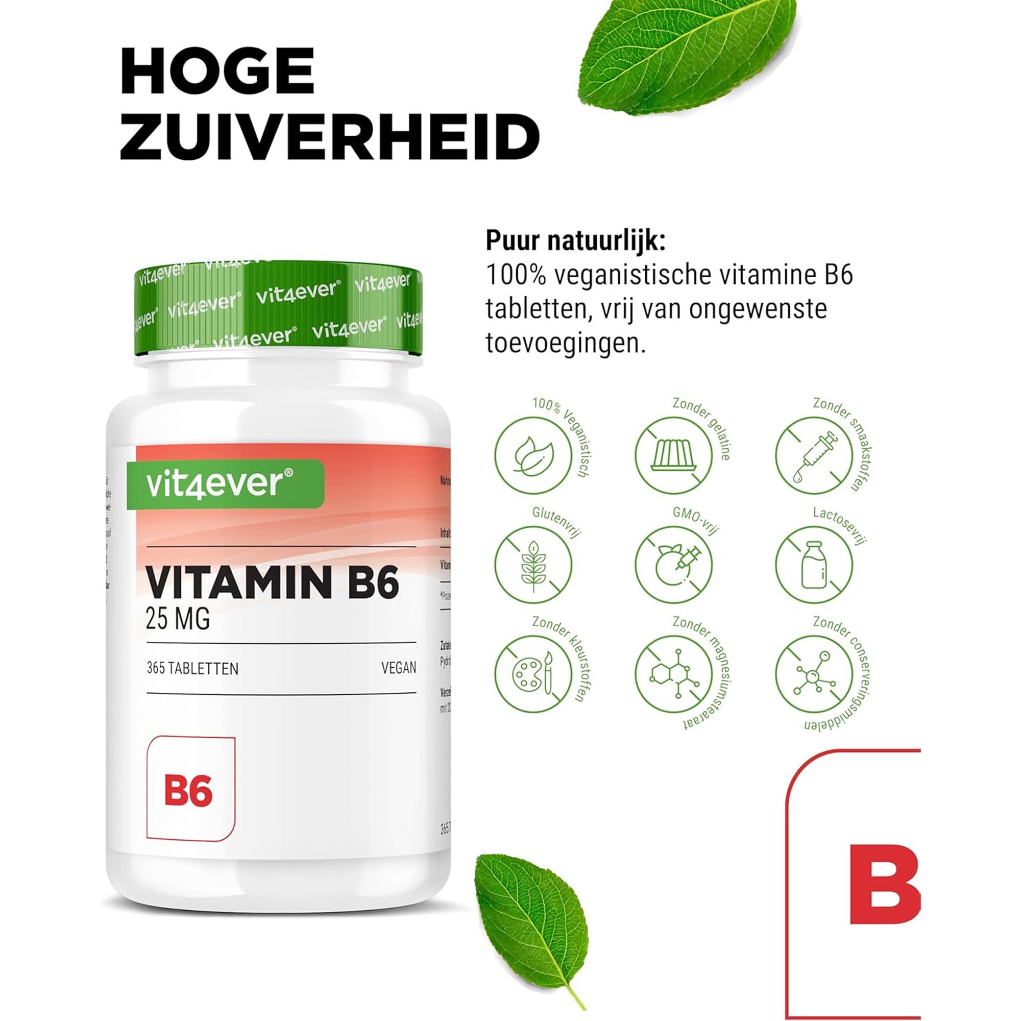 Vitamine B6  25mg | 365 tabletten | Vit4ever