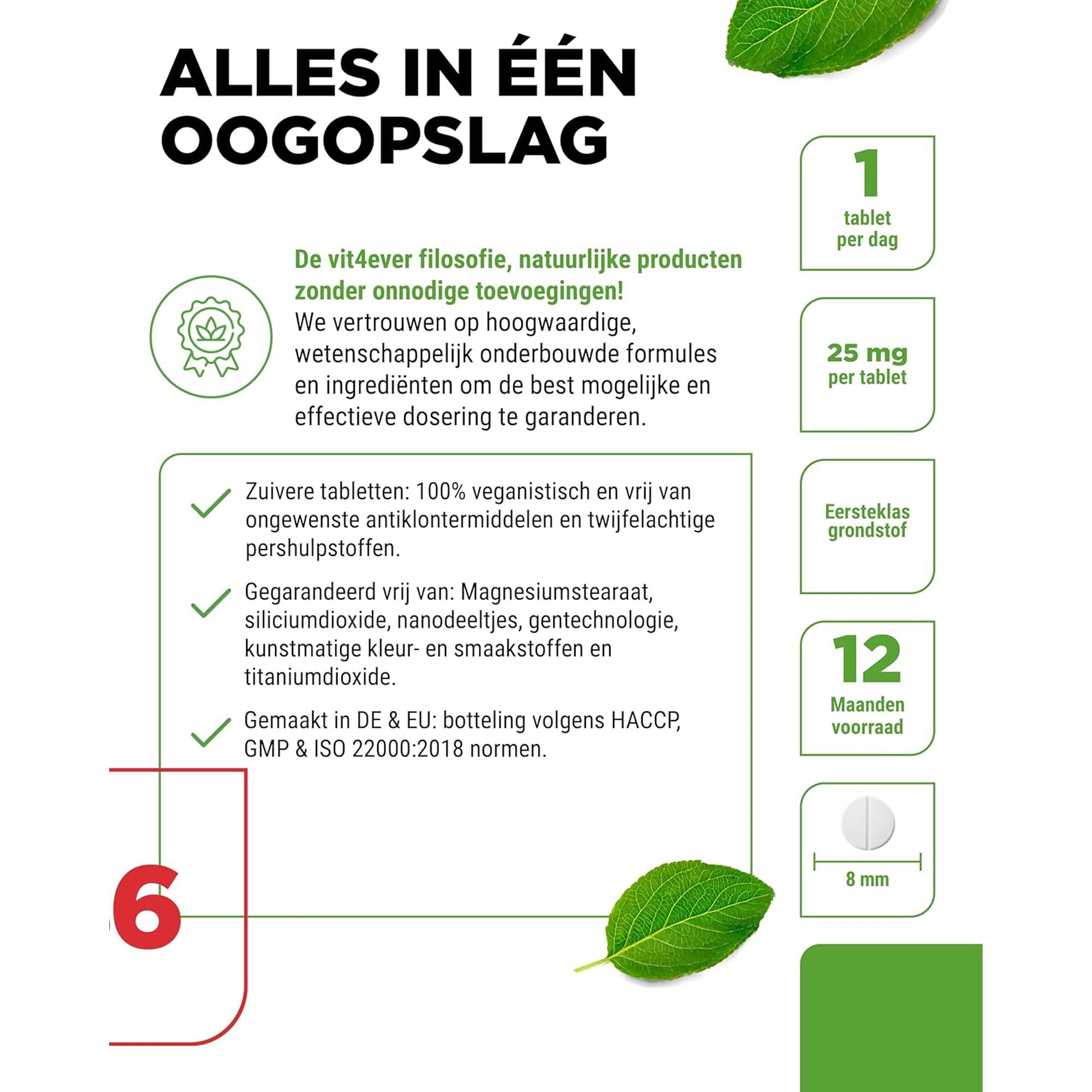 Vitamine B6  25mg | 365 tabletten | Vit4ever