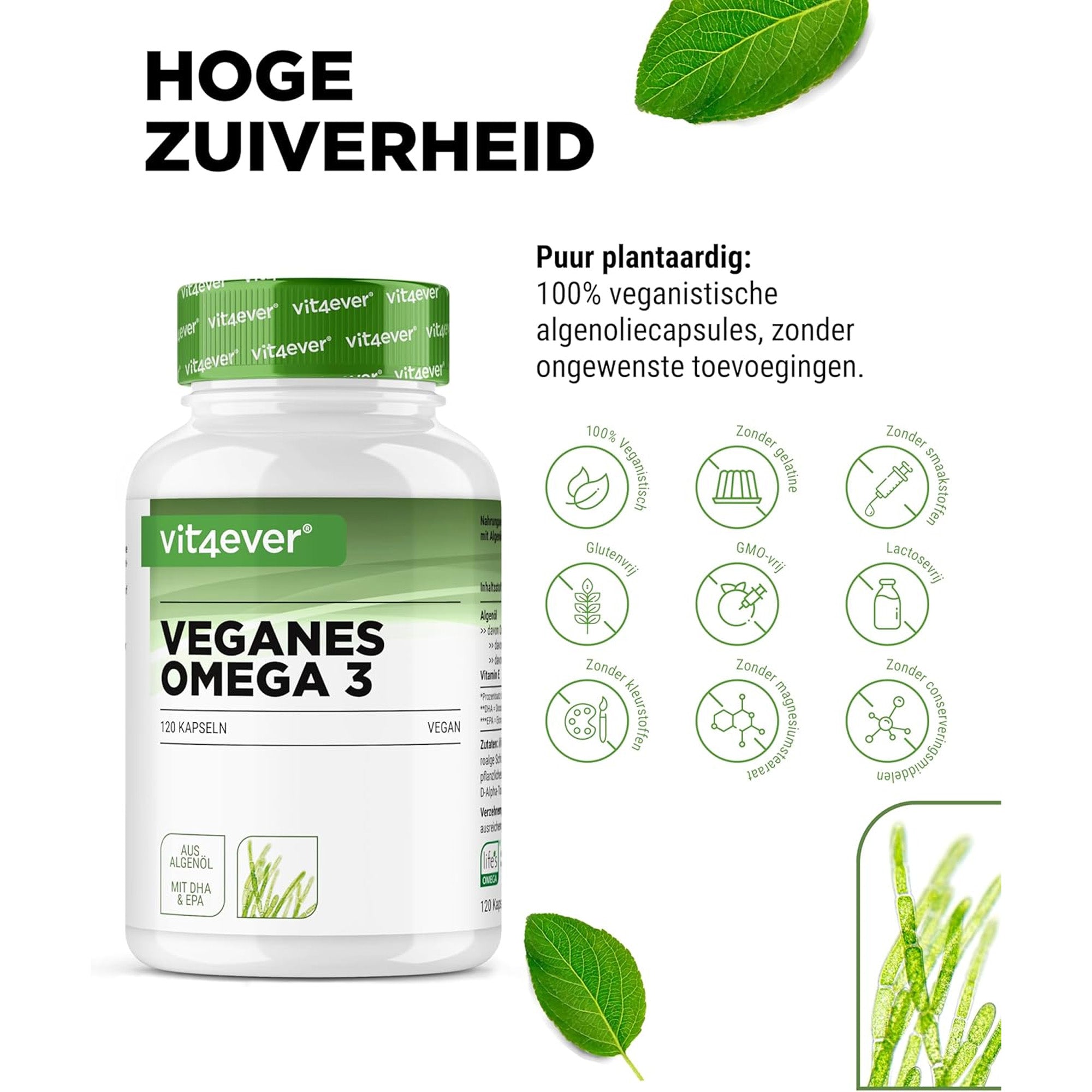 Vit4ever Omega-3 algenolie - geschikt voor hersenen en hart gezondheid