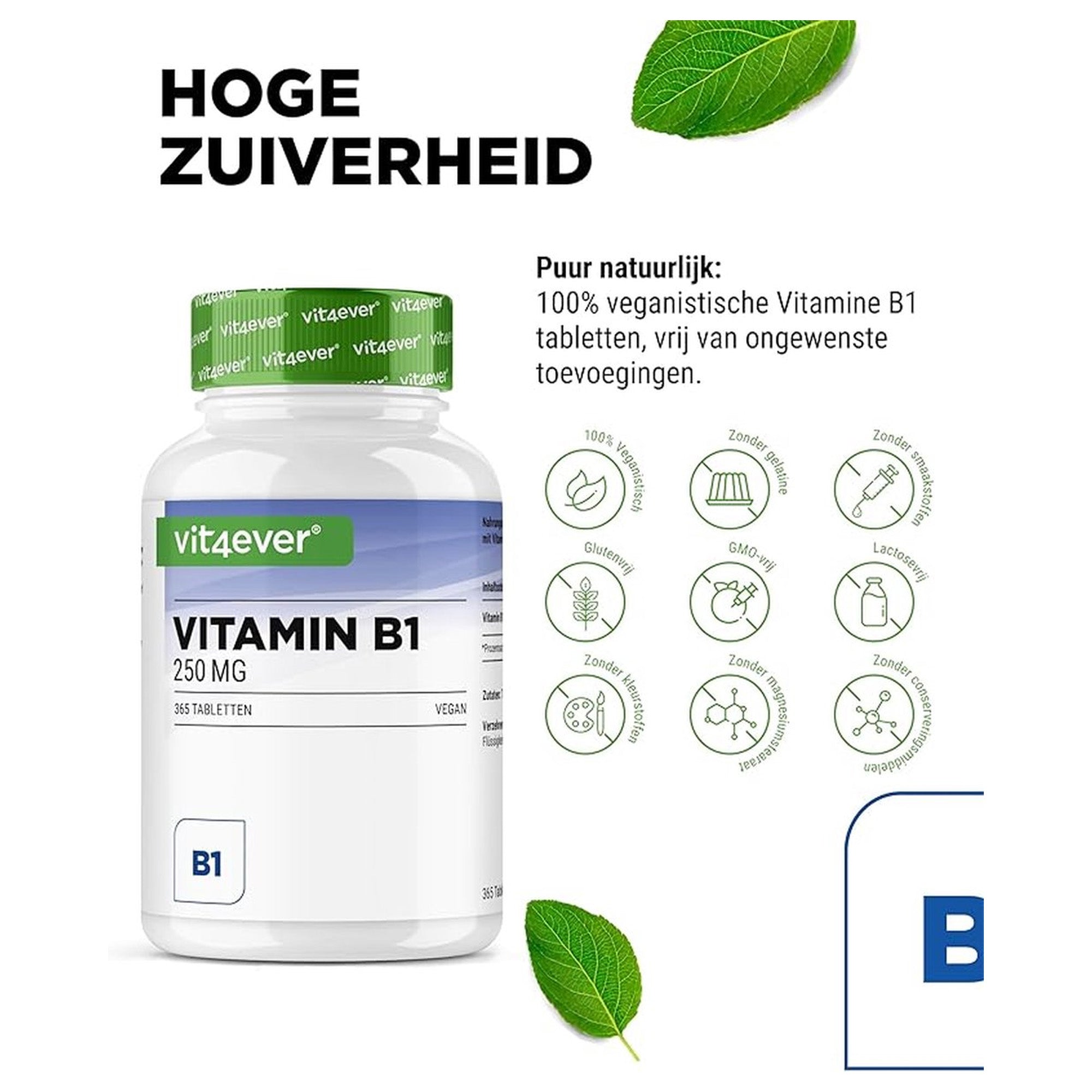 Vitamine B1 (Thiamine) 250mg | 365 Tabletten | Vit4ever