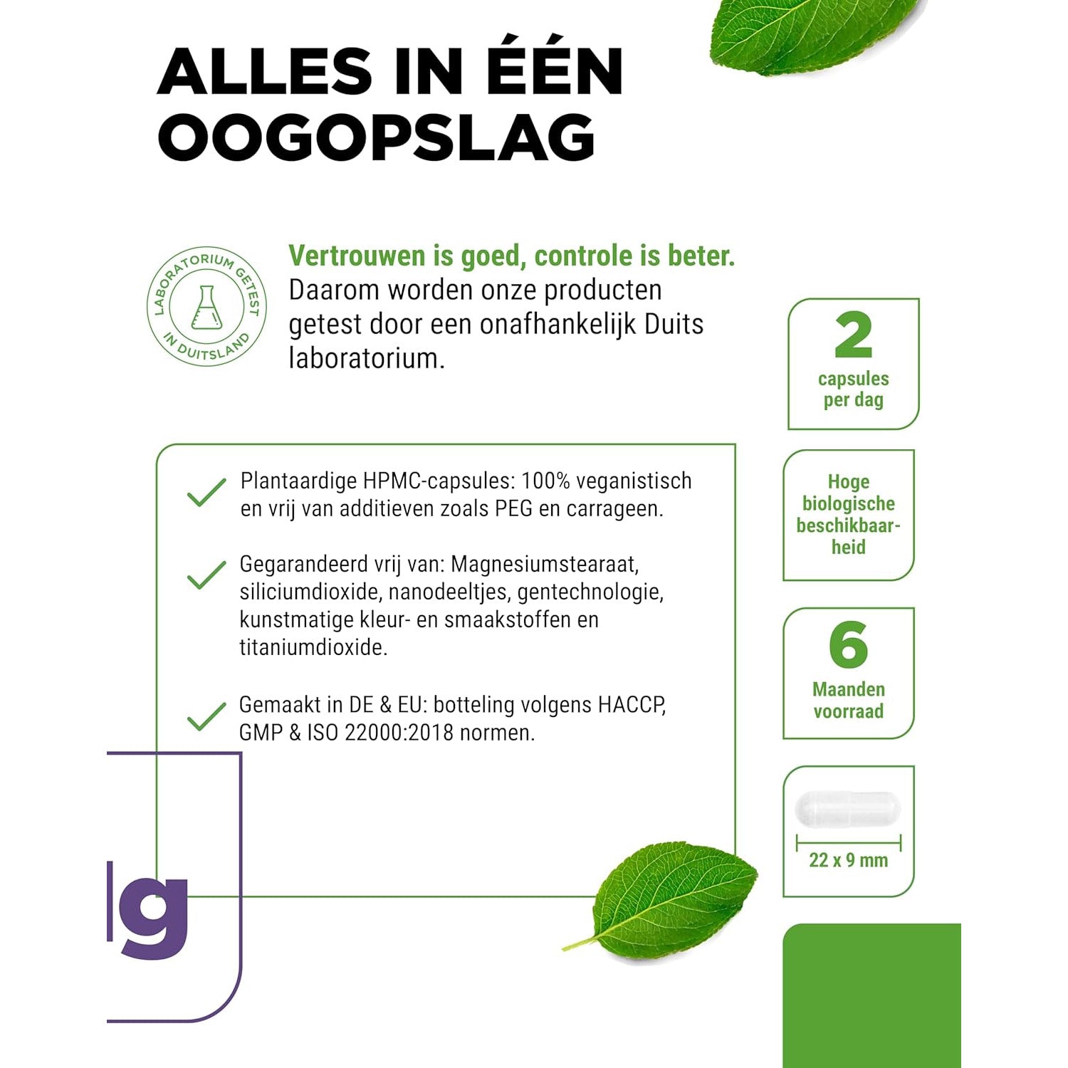 Magnesiumbisglycinat | Vit4ever